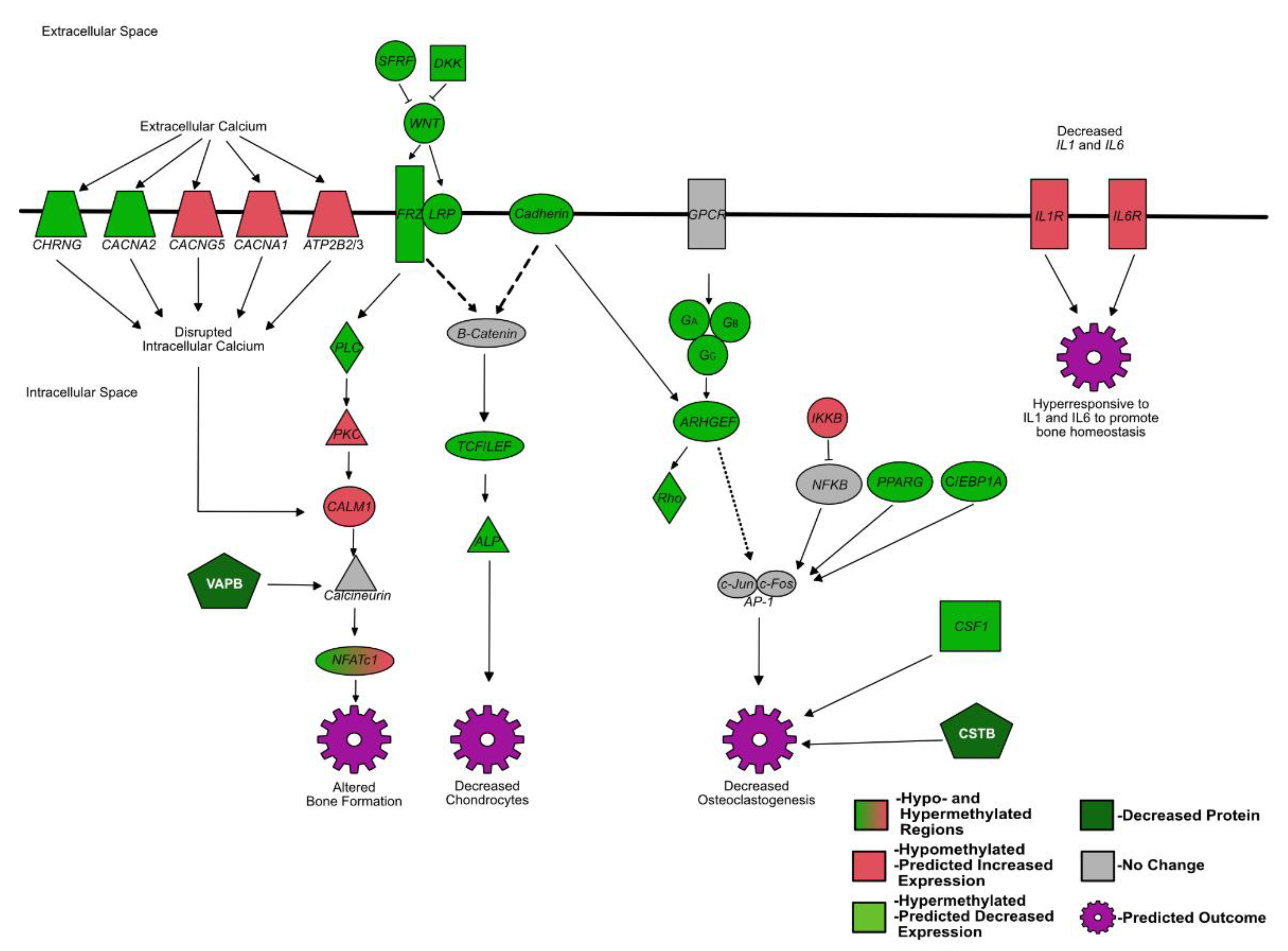 Viruses 14 00506 g002