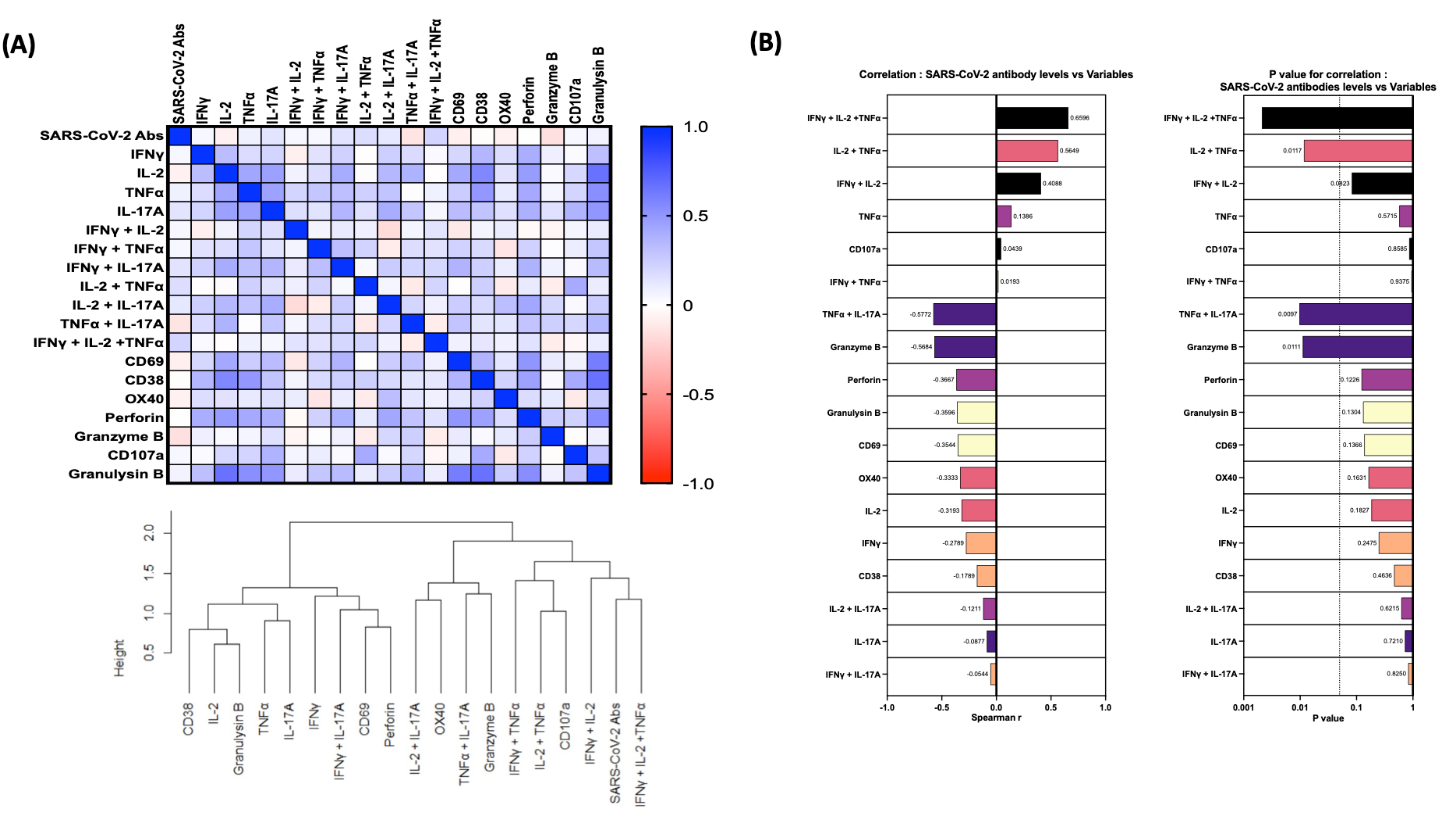 Viruses 14 00511 g004