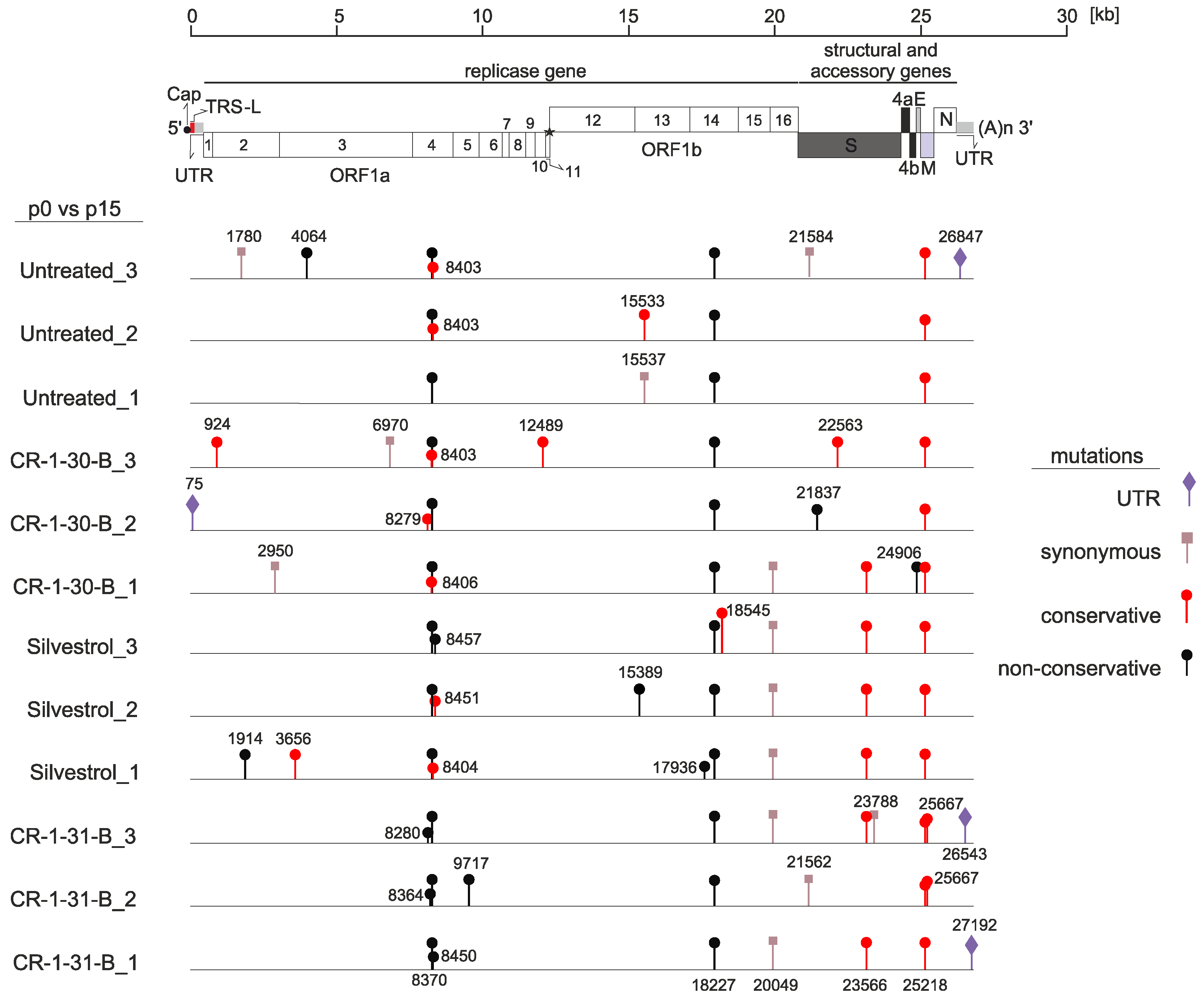 Viruses 14 00519 g002