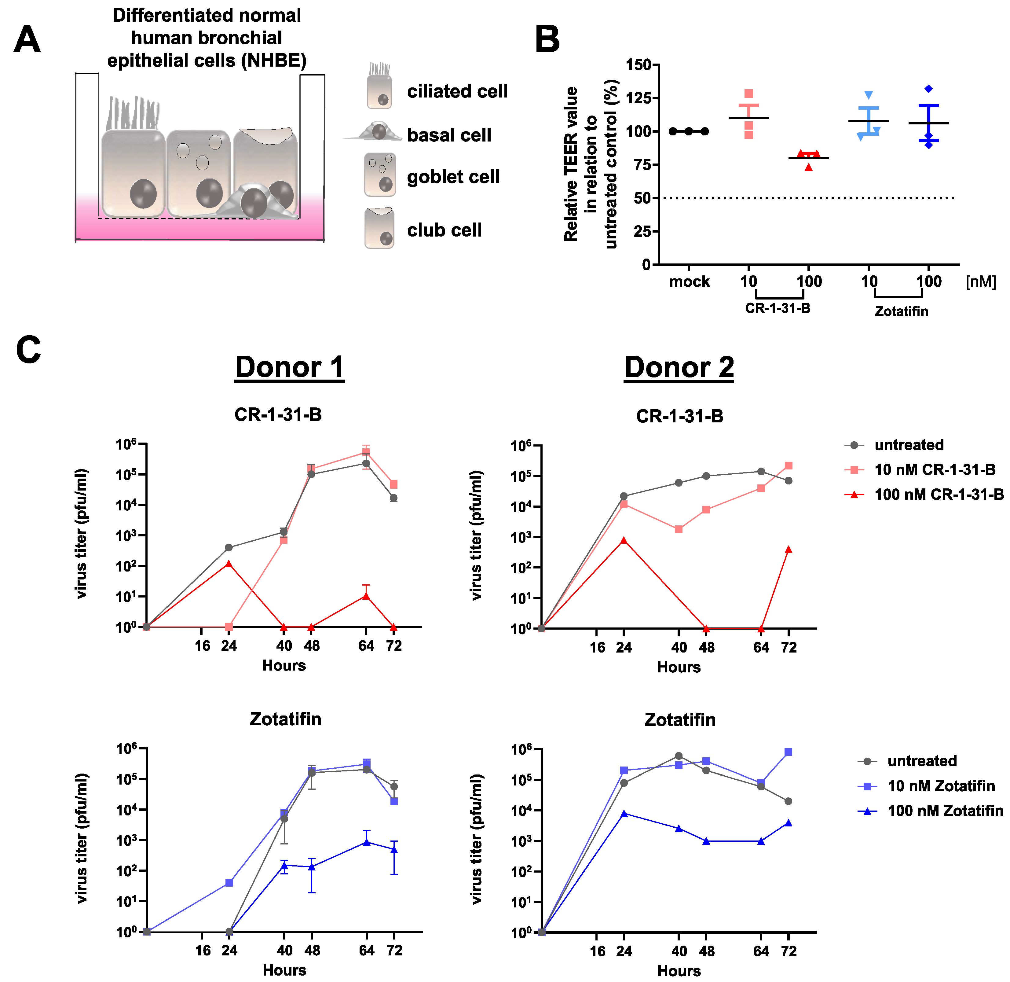 Viruses 14 00519 g006
