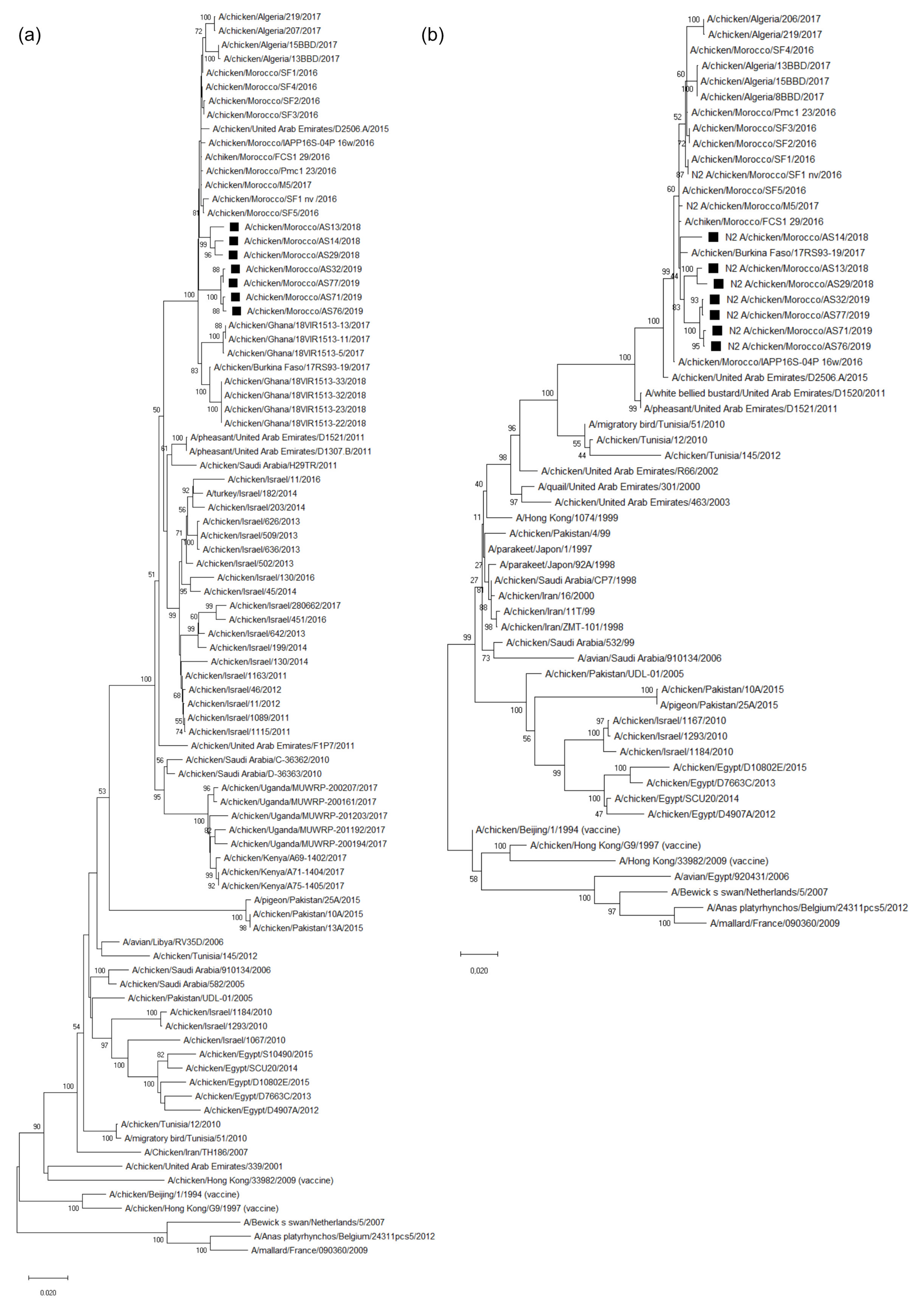 Viruses 14 00529 g001