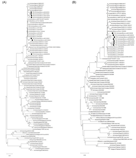 Viruses 14 00529 g0a1a 550