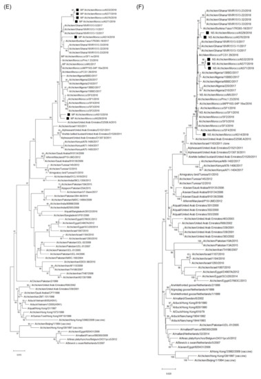Viruses 14 00529 g0a1c 550