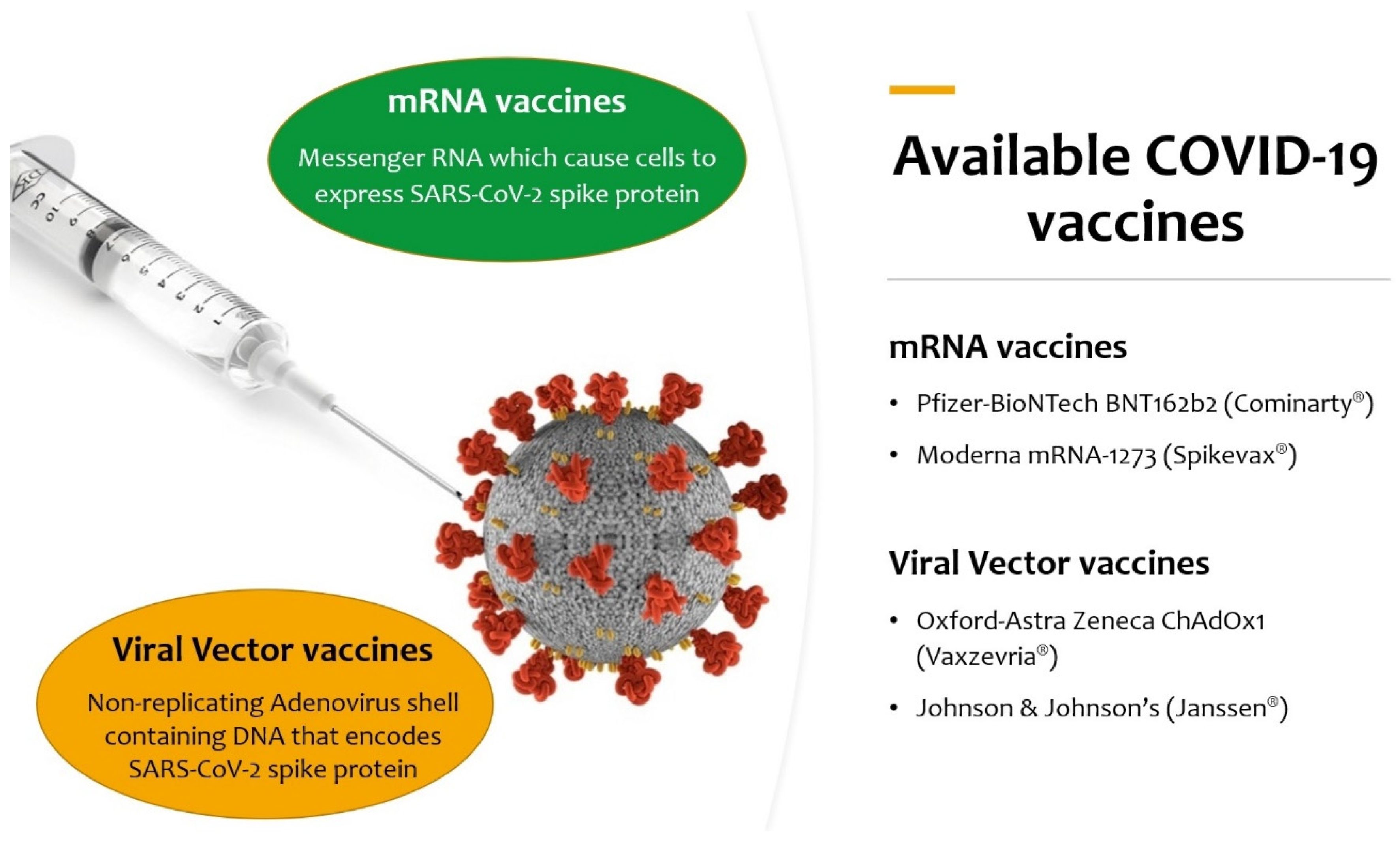 Viruses 14 00539 g001