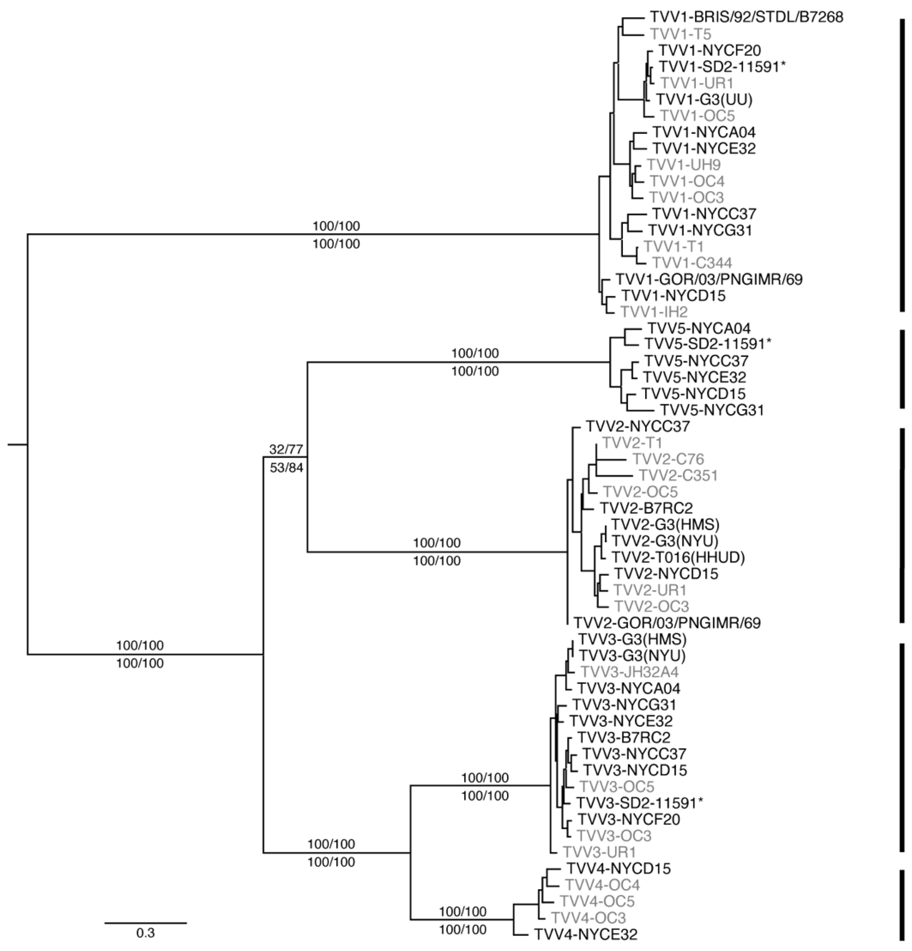 Viruses 14 00548 g001 Viruses 14 00548 g001
