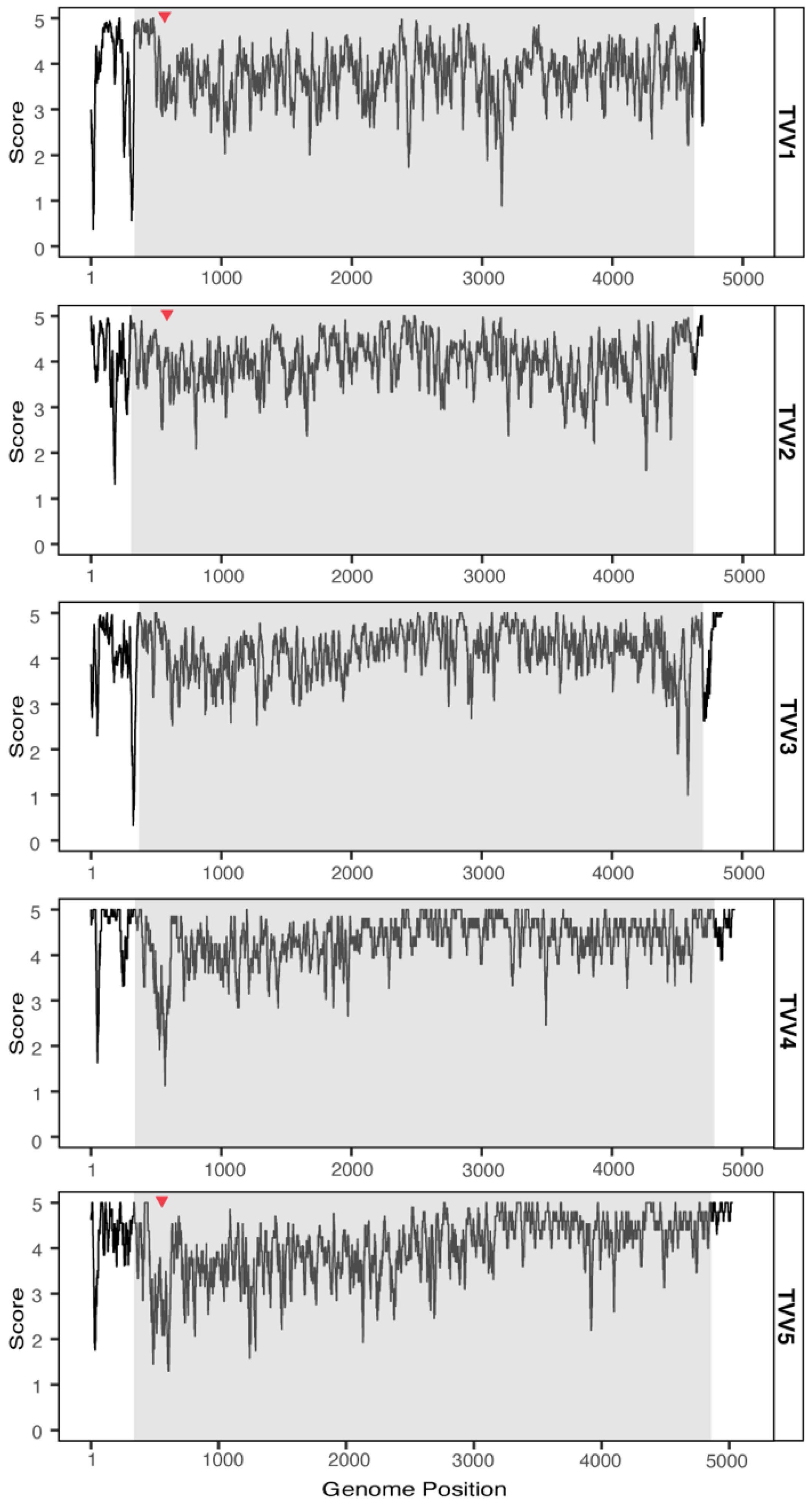 Viruses 14 00548 g003 Viruses 14 00548 g003