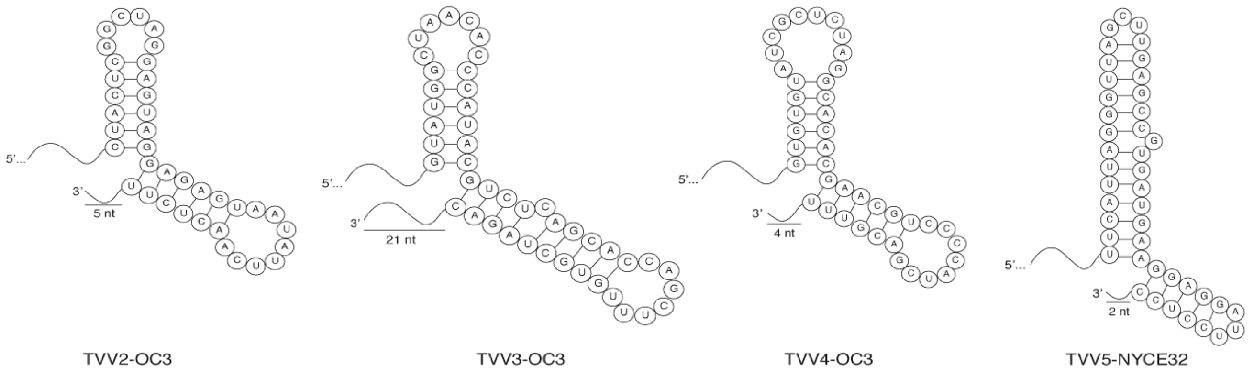 Viruses 14 00548 g004 Viruses 14 00548 g004