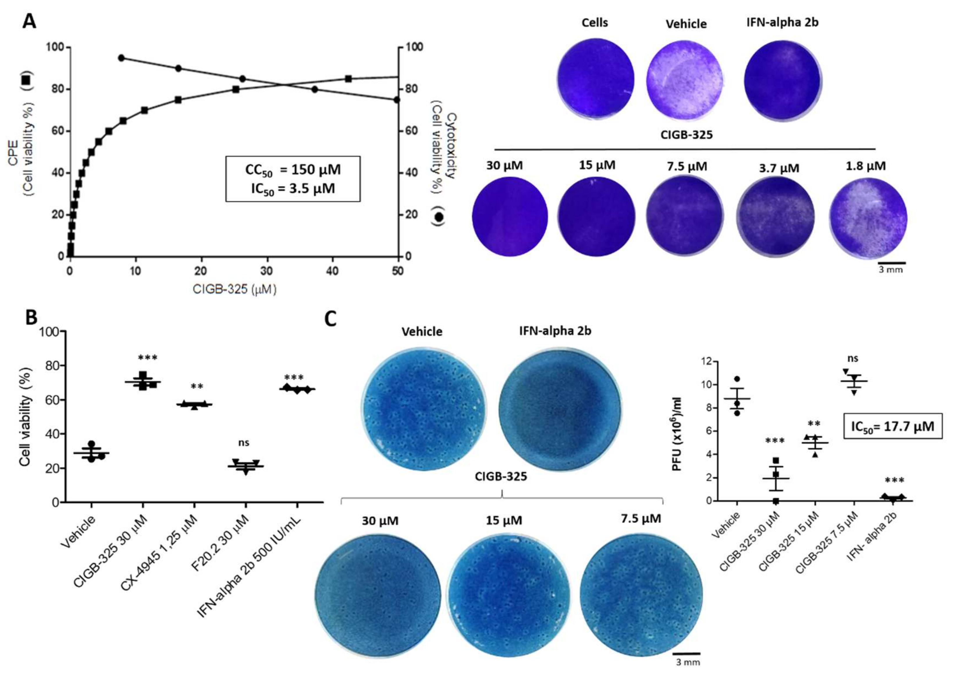 Viruses 14 00552 g001