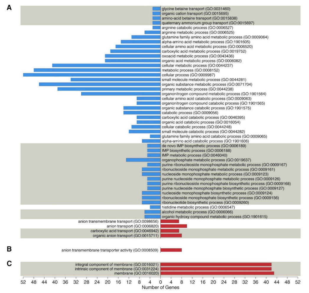 Viruses 14 00567 g002