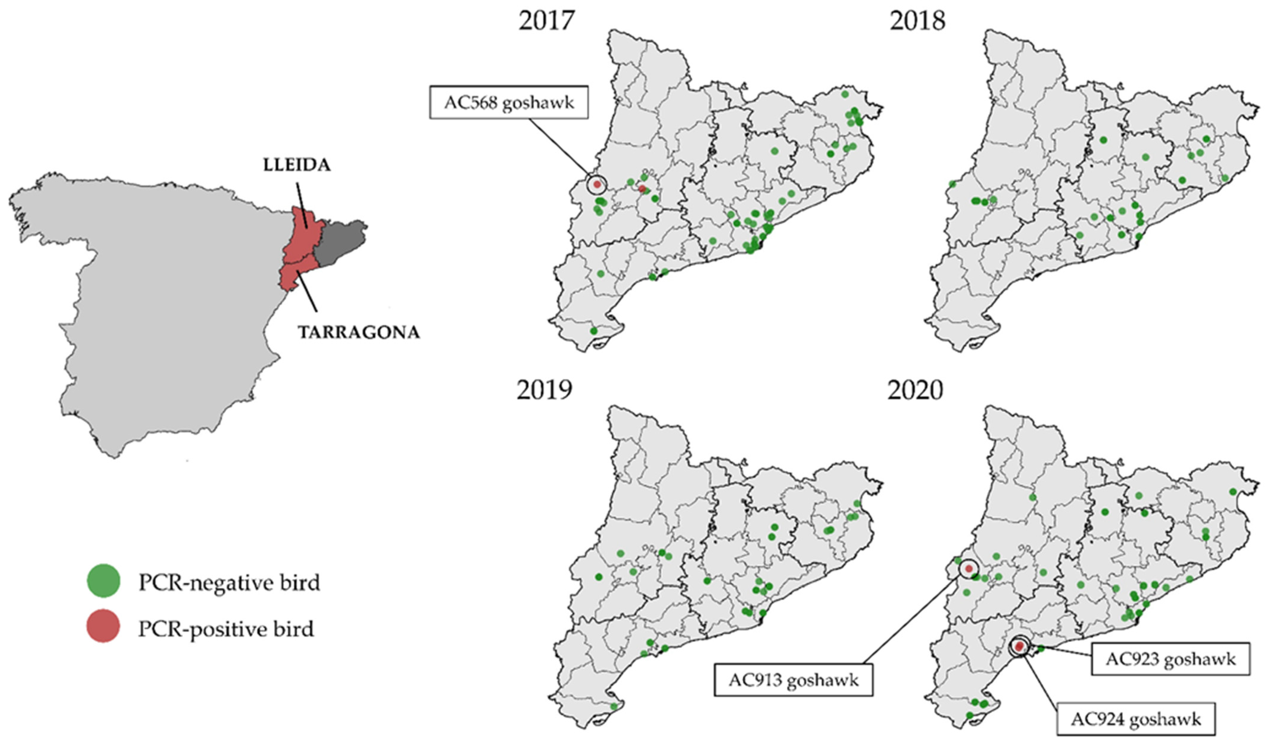 Viruses 14 00569 g001