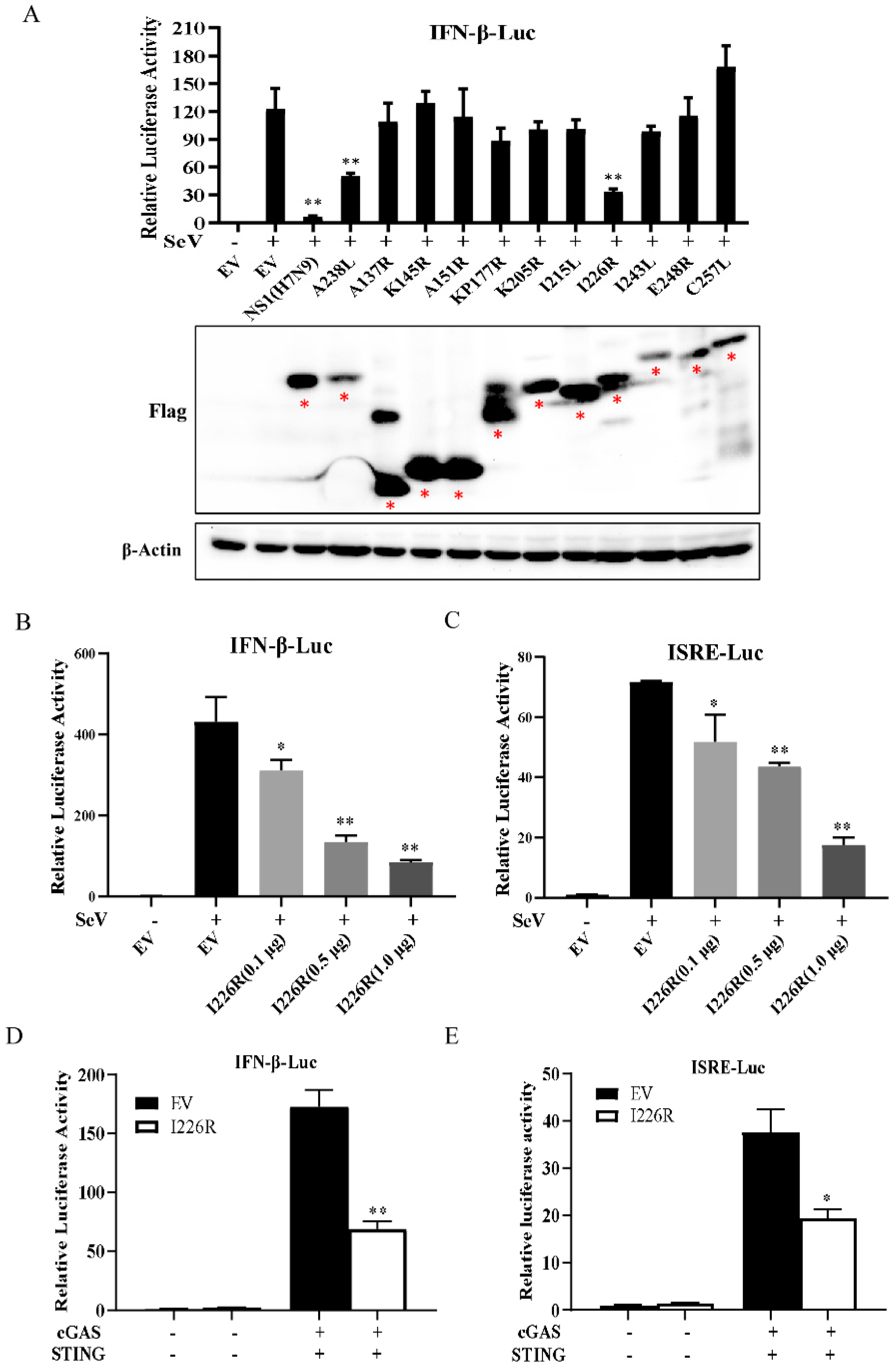 Viruses 14 00575 g001