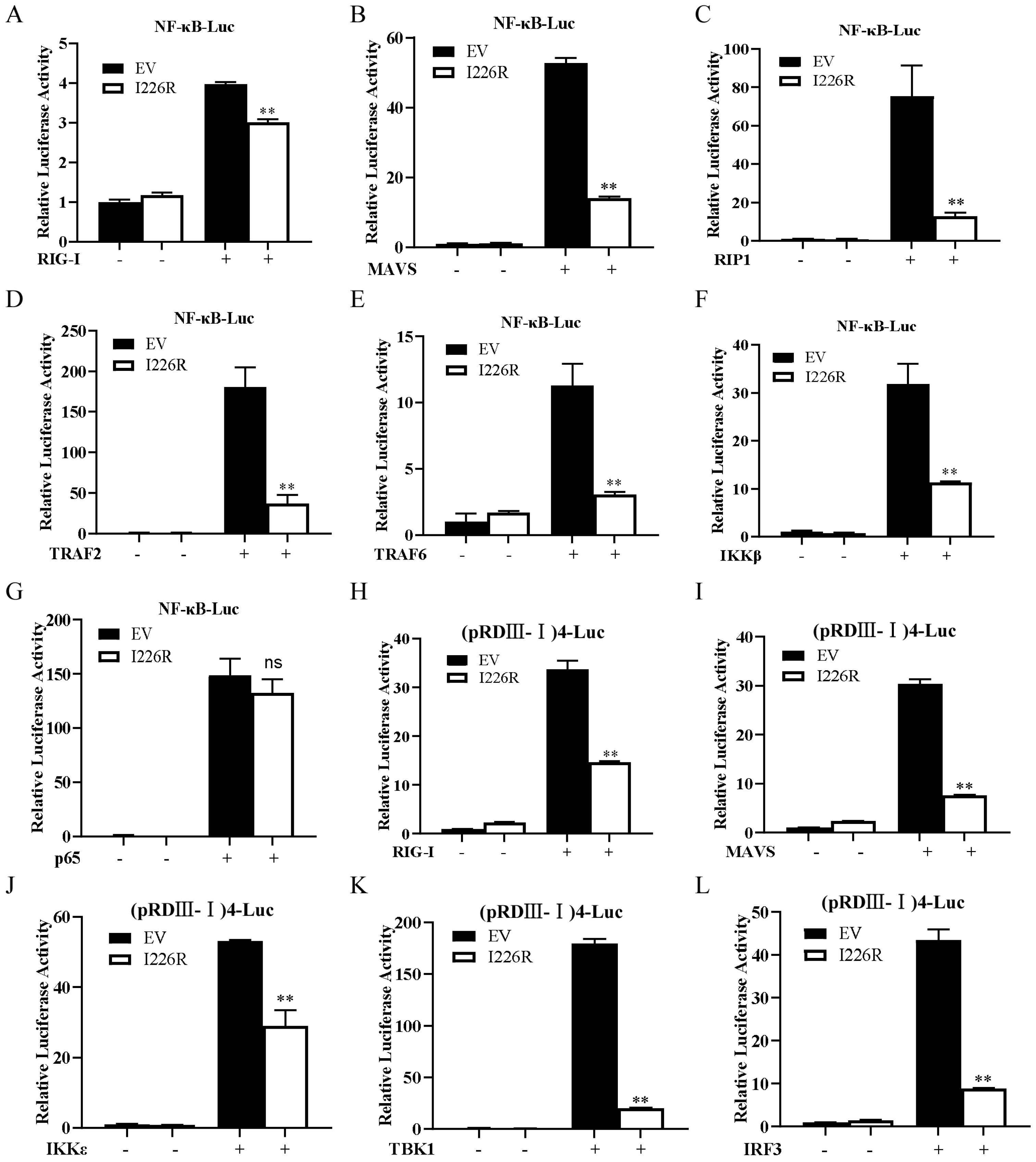Viruses 14 00575 g006