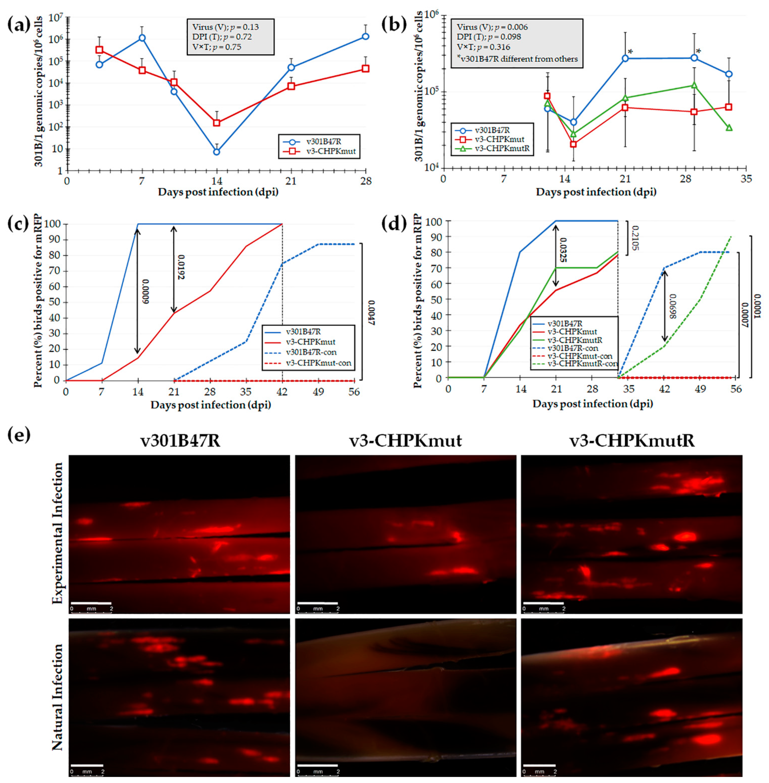 Viruses 14 00586 g003