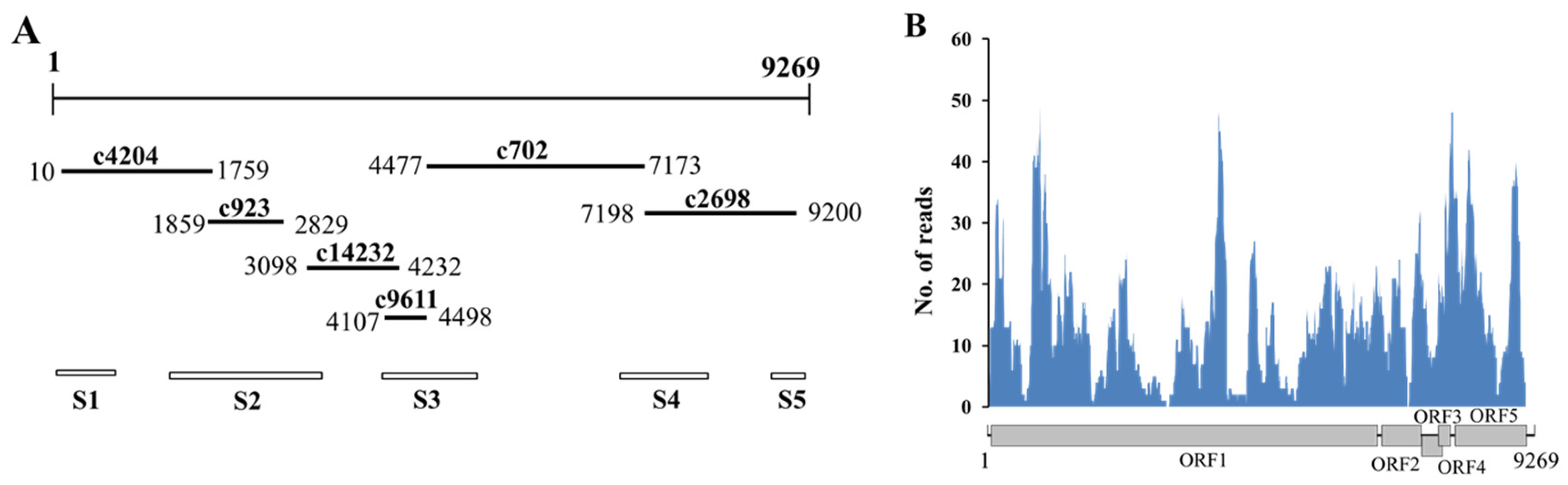 Viruses 14 00599 g001