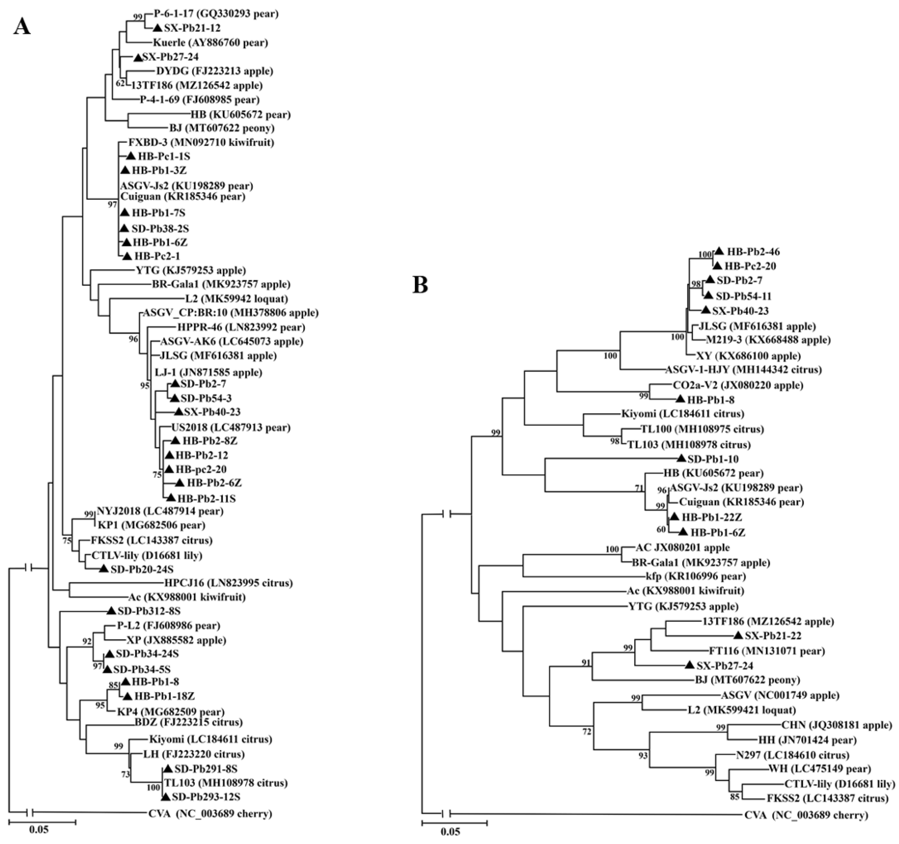 Viruses 14 00599 g002