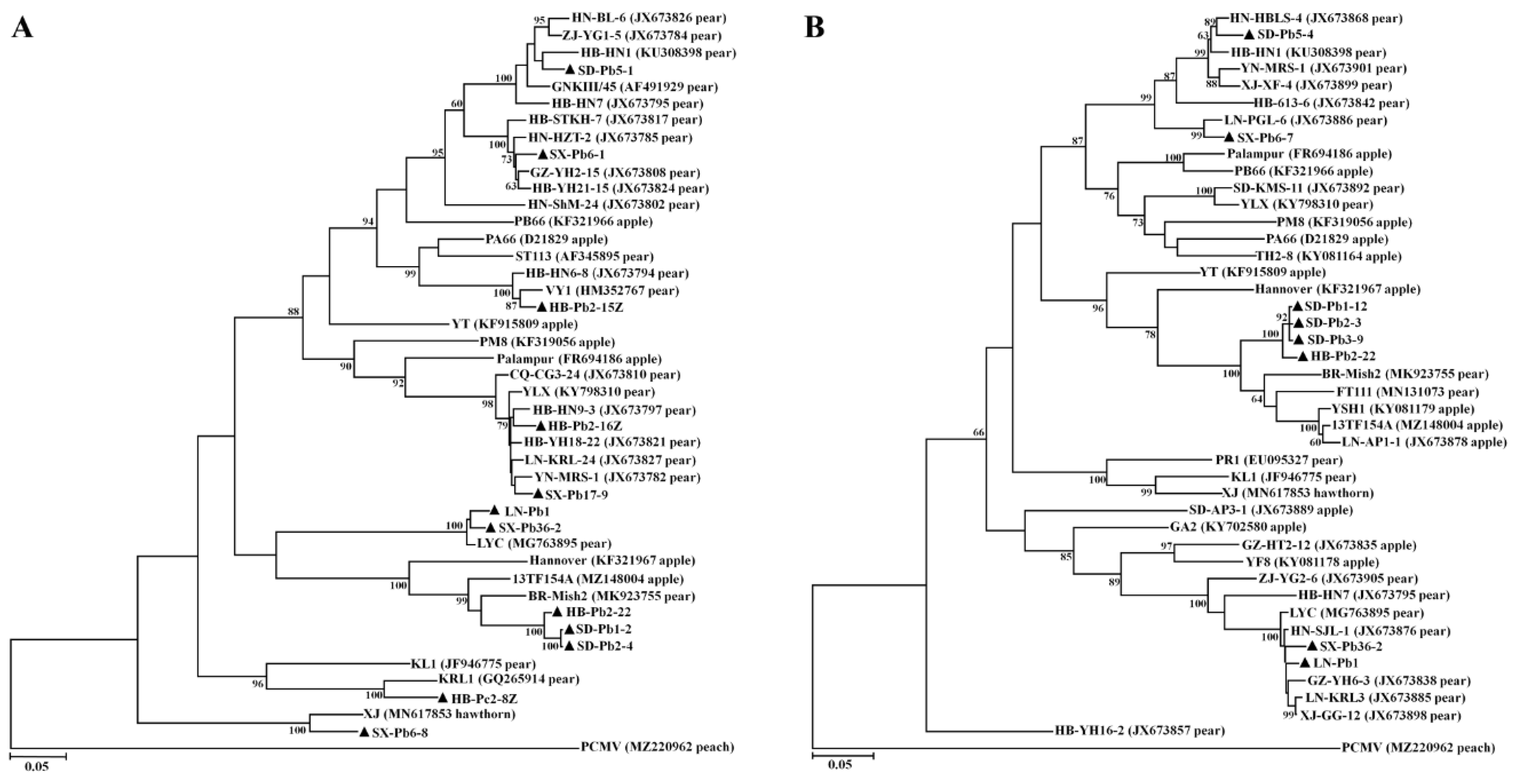 Viruses 14 00599 g004