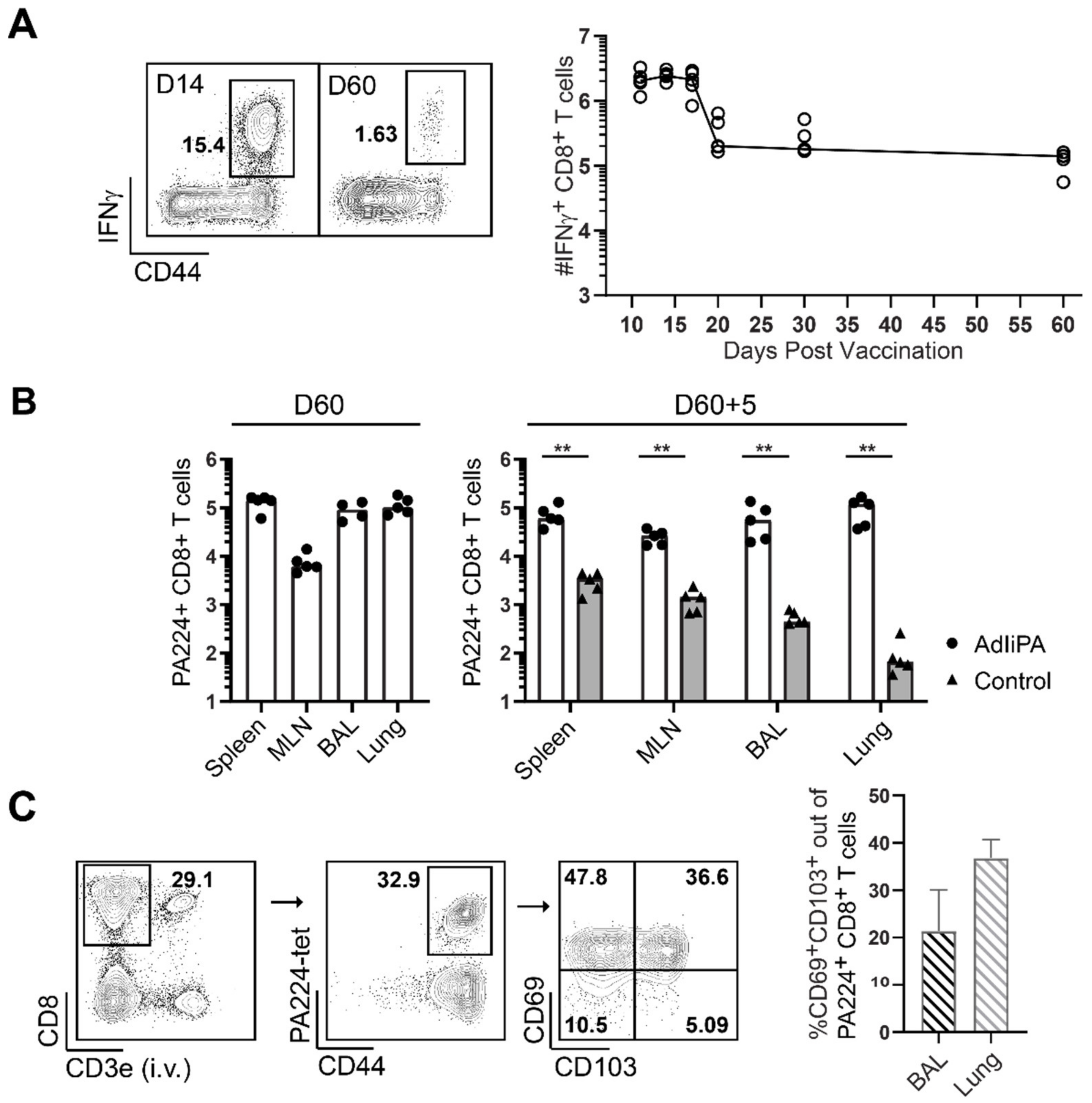 Viruses 14 00601 g001