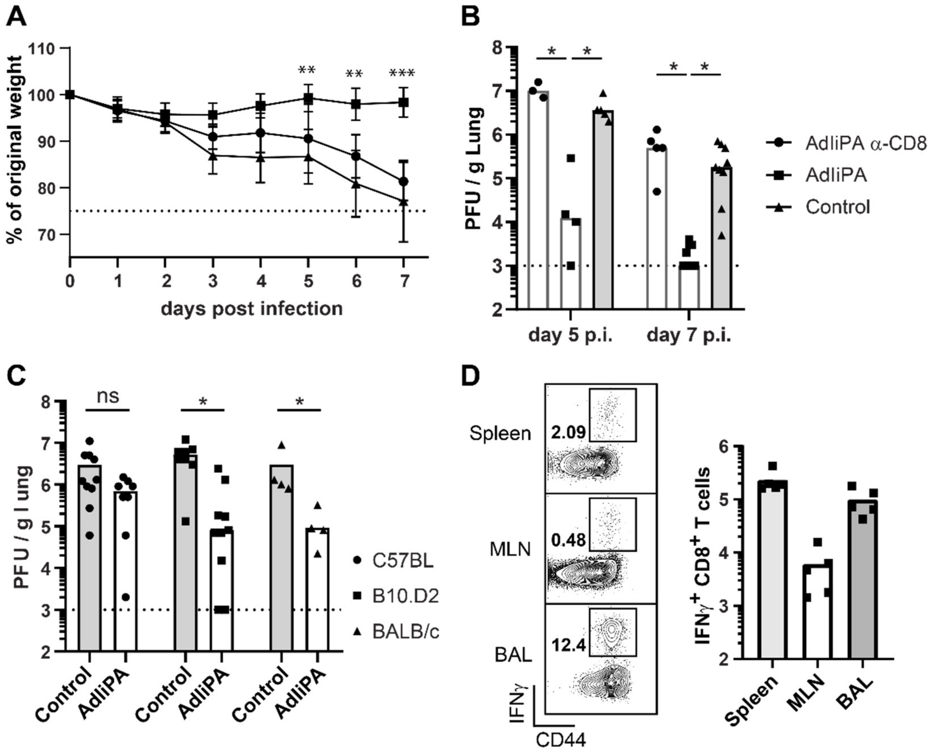 Viruses 14 00601 g003