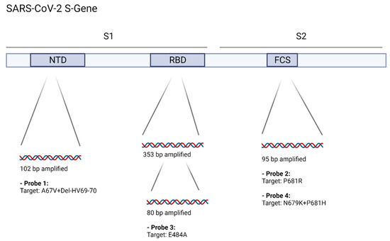 Viruses 14 00608 g001 550