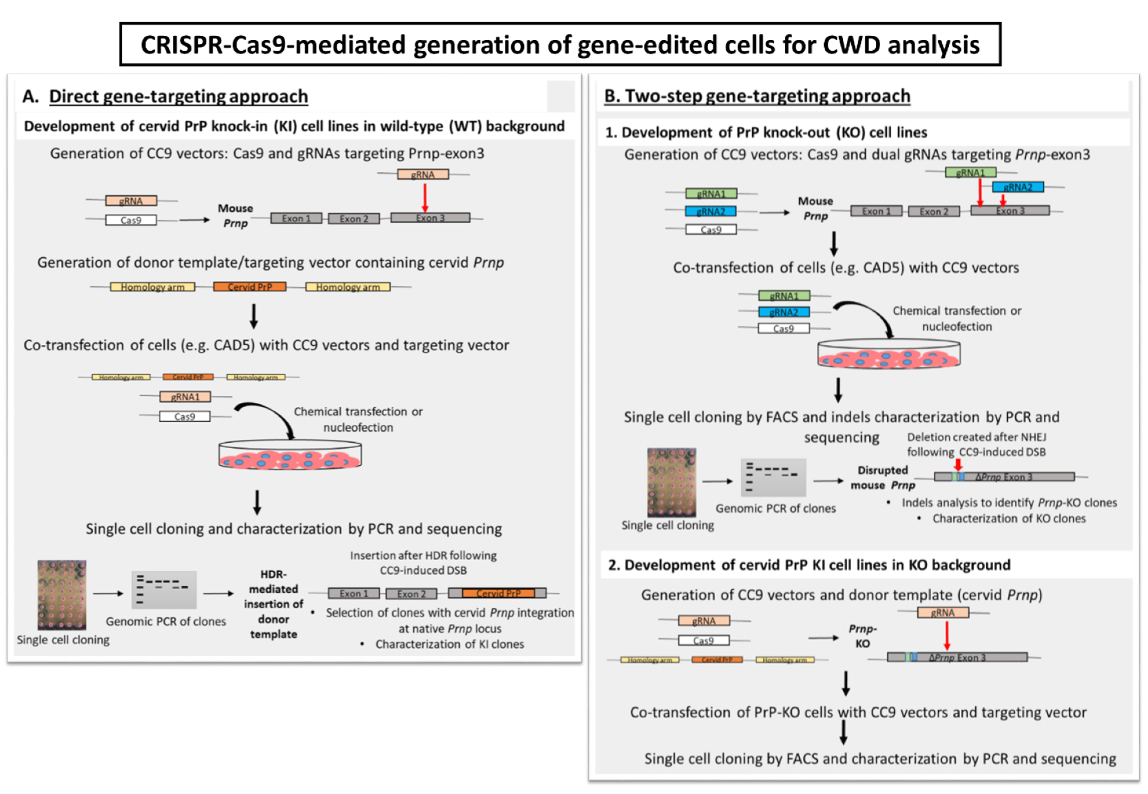 Viruses 14 00609 g001