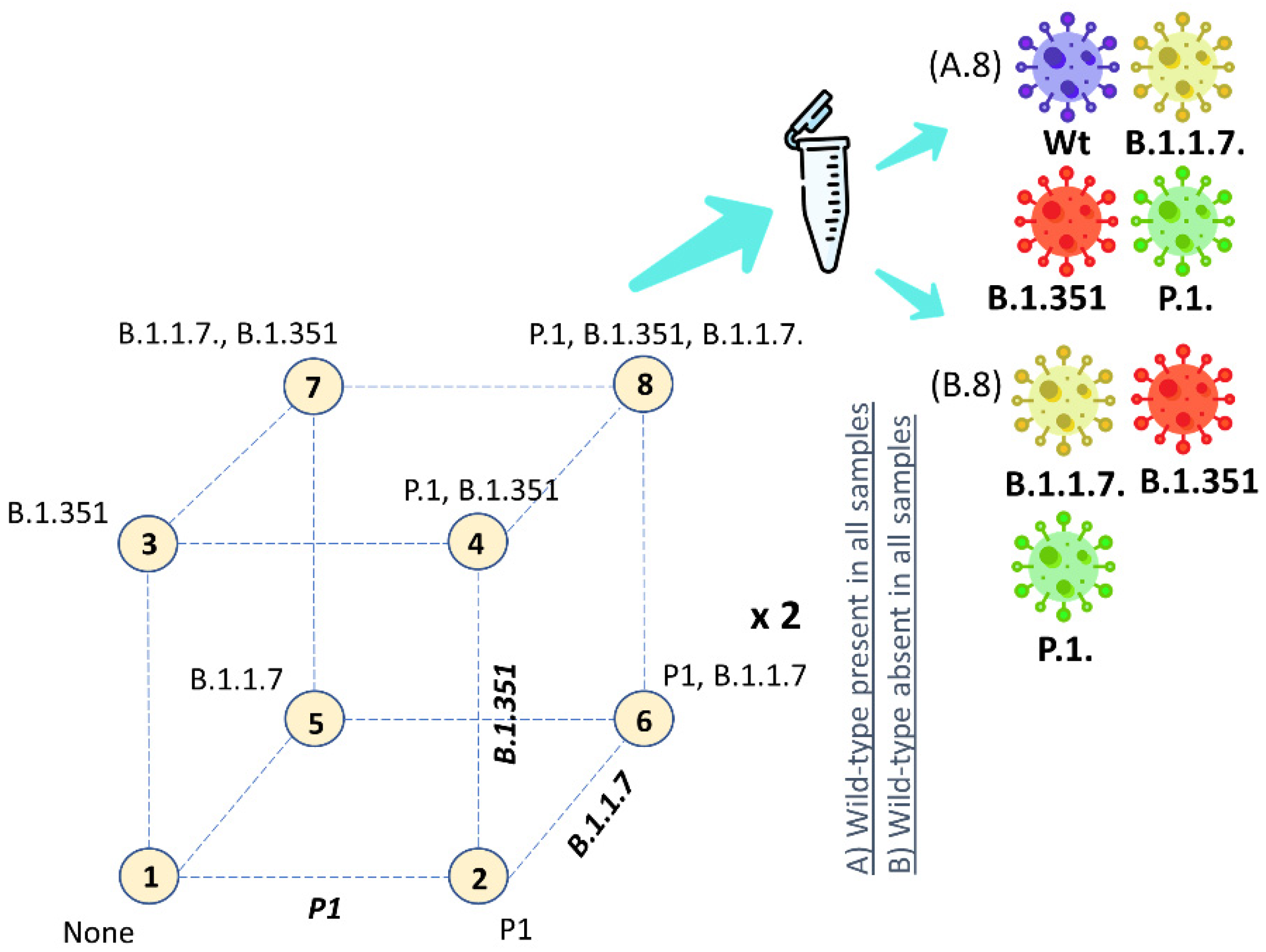 Viruses 14 00610 g001