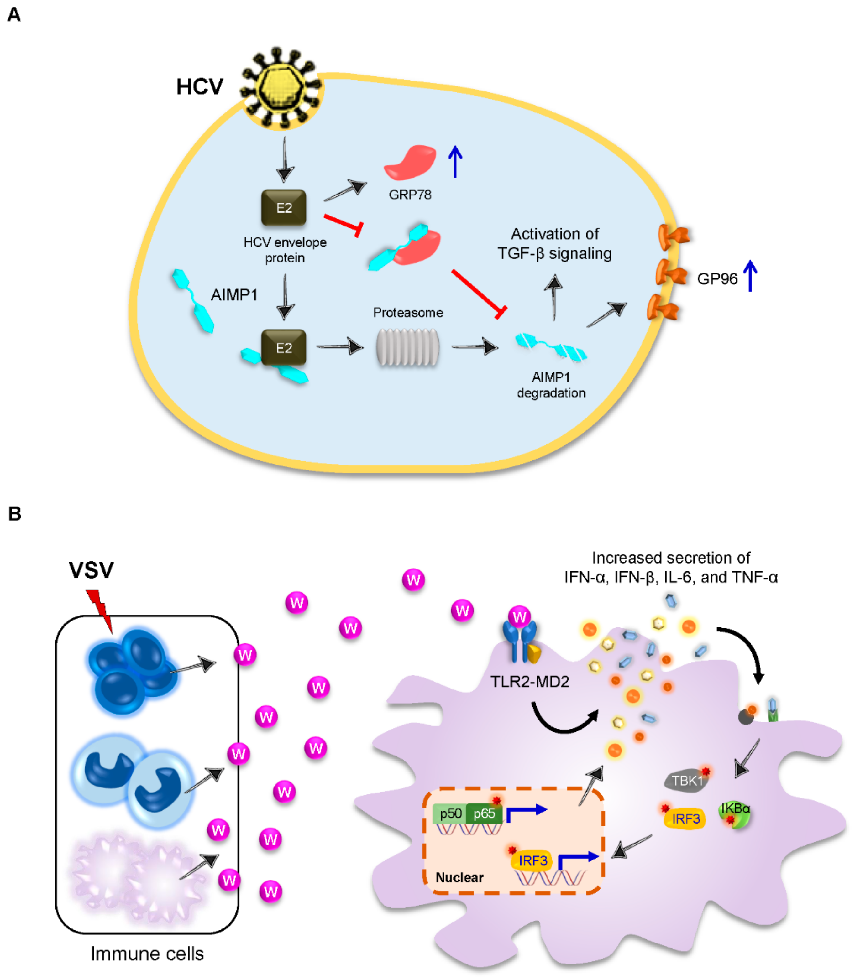 Viruses 14 00613 g002
