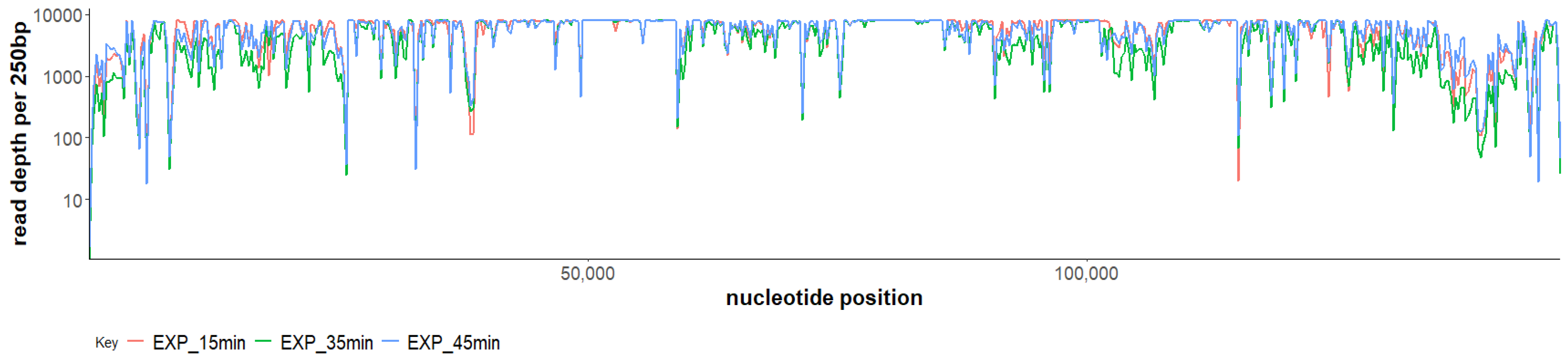 Viruses 14 00626 g001