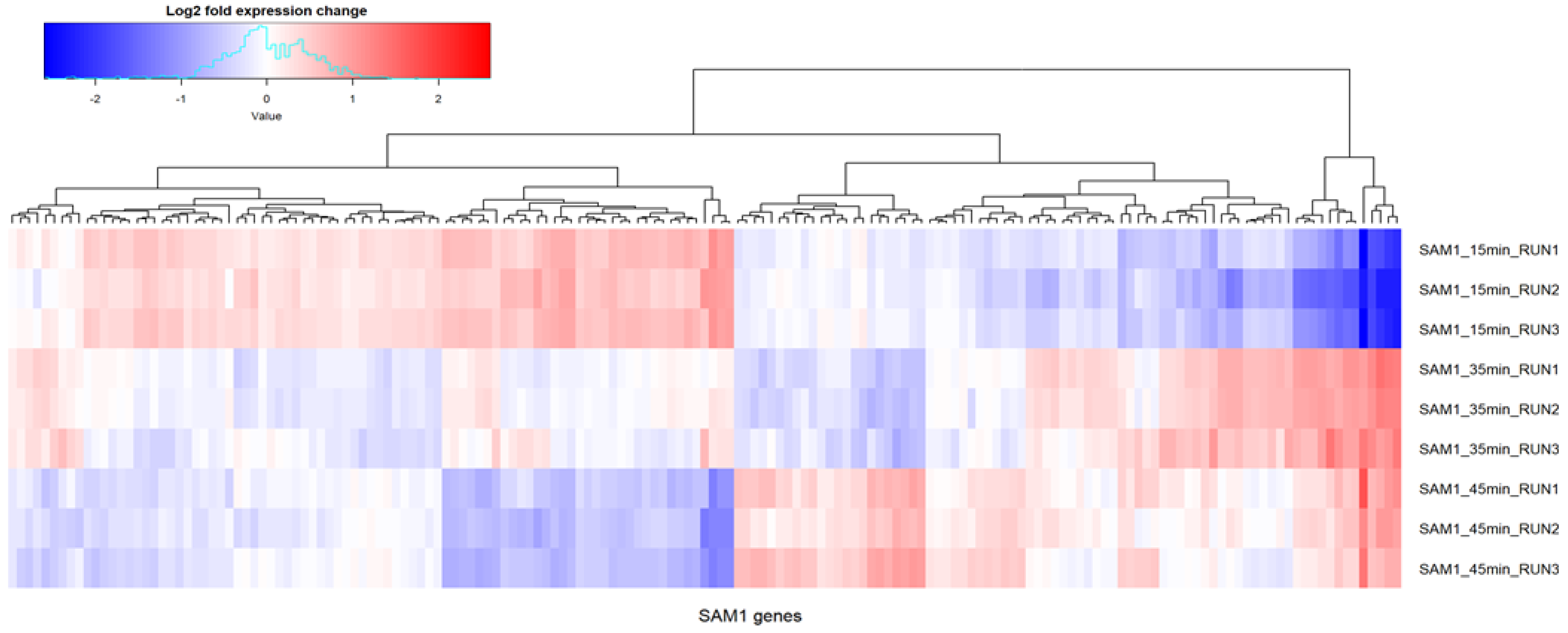 Viruses 14 00626 g002