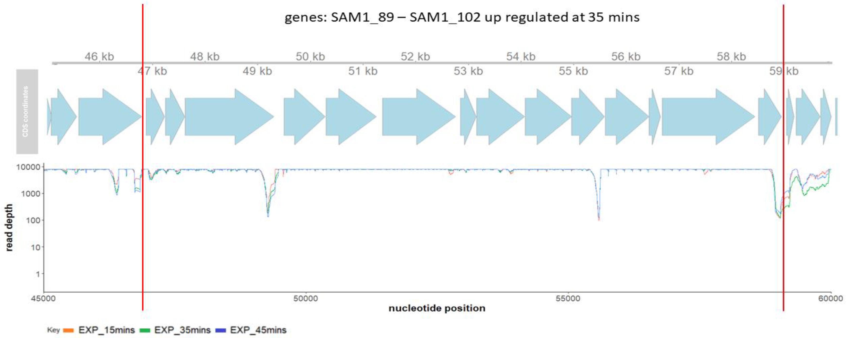 Viruses 14 00626 g003