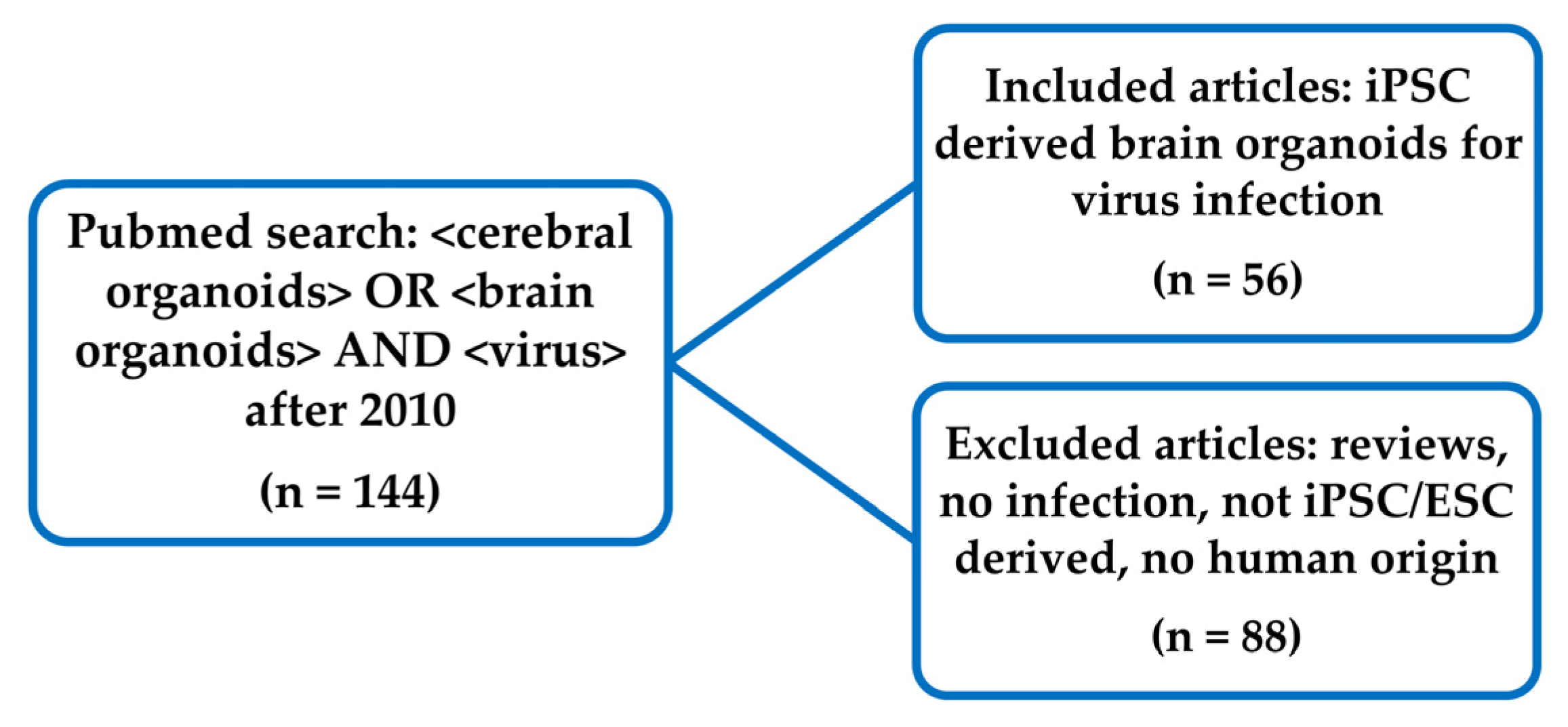 Viruses 14 00634 g001
