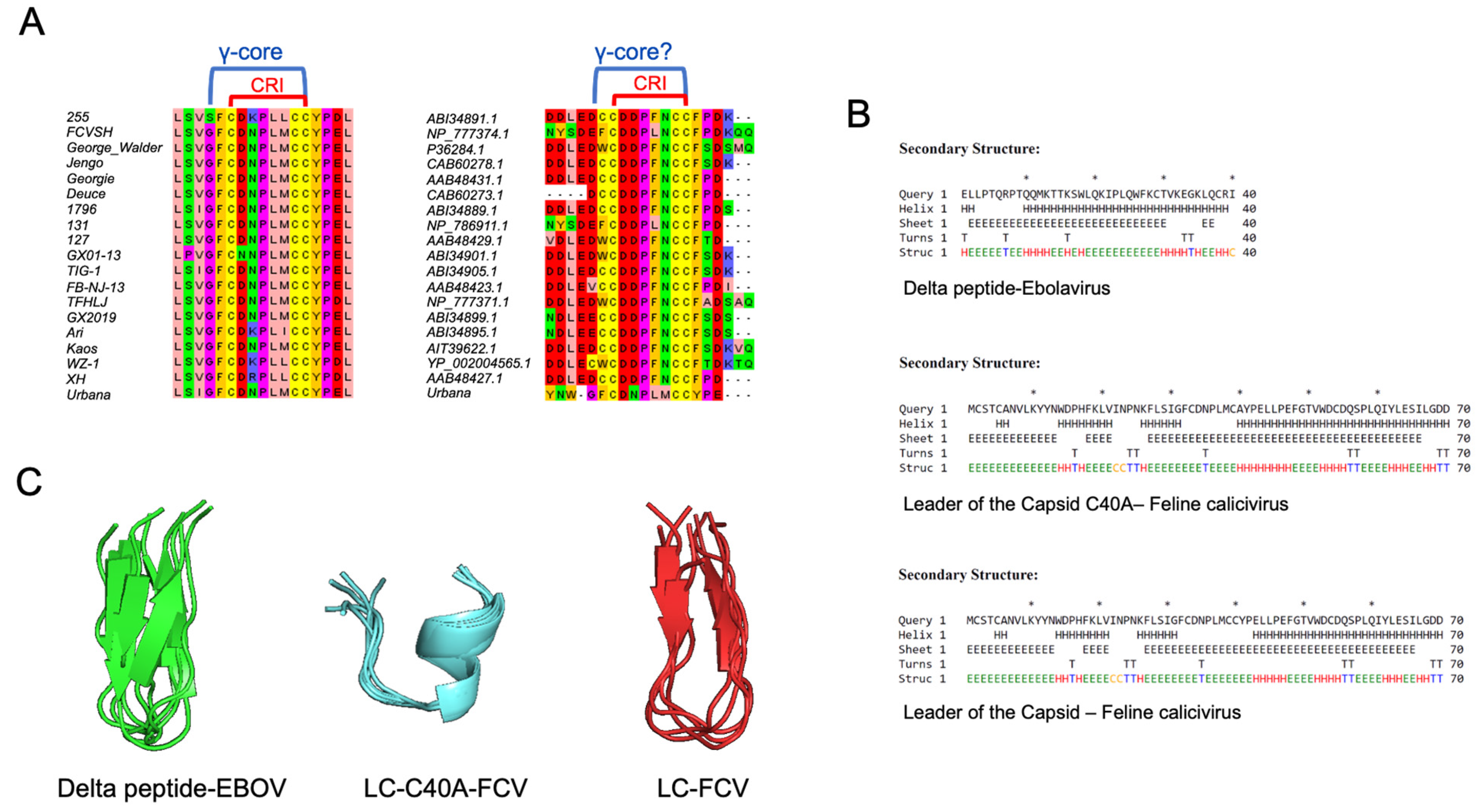 Viruses 14 00635 g002