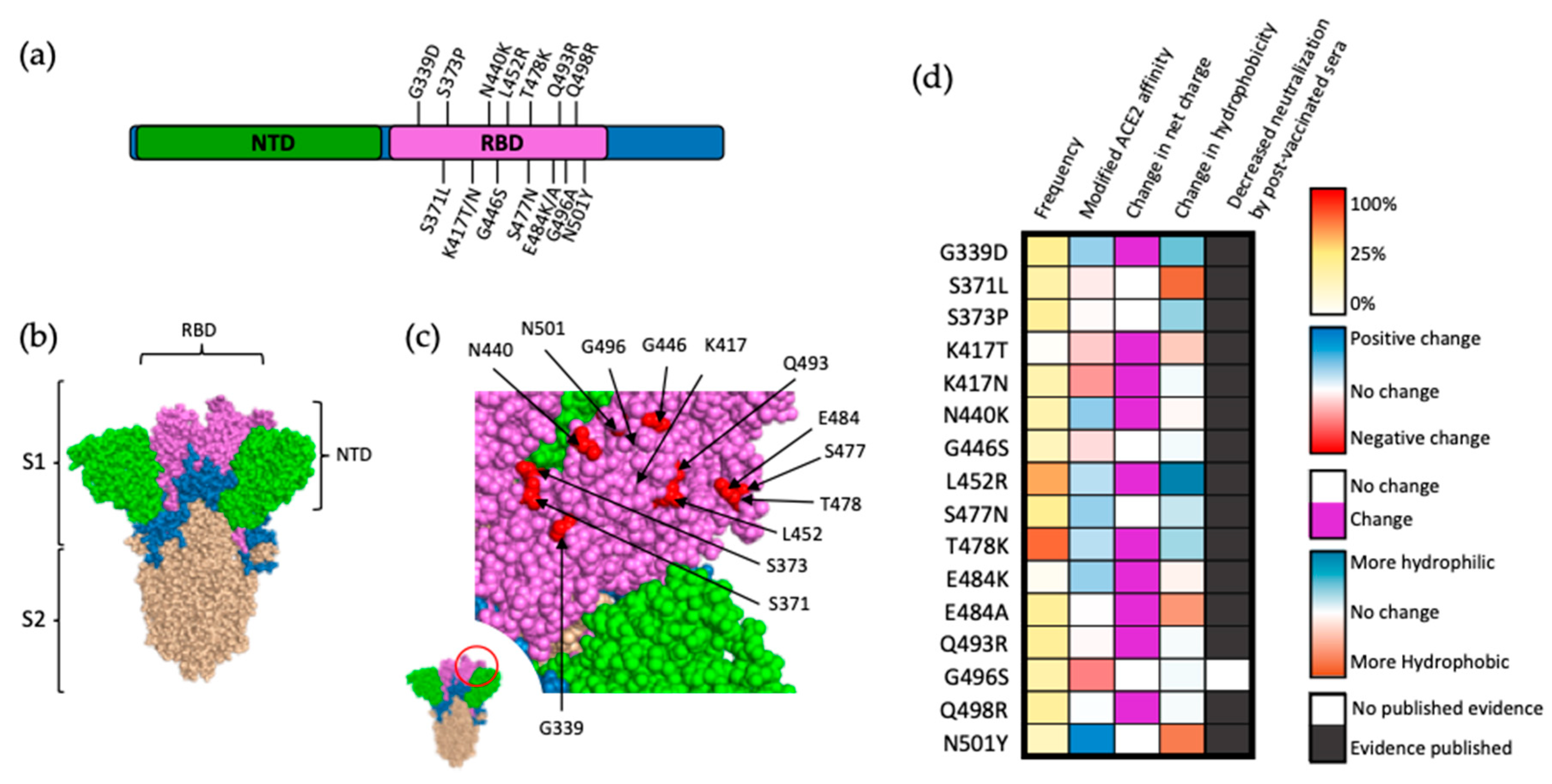 Viruses 14 00640 g003