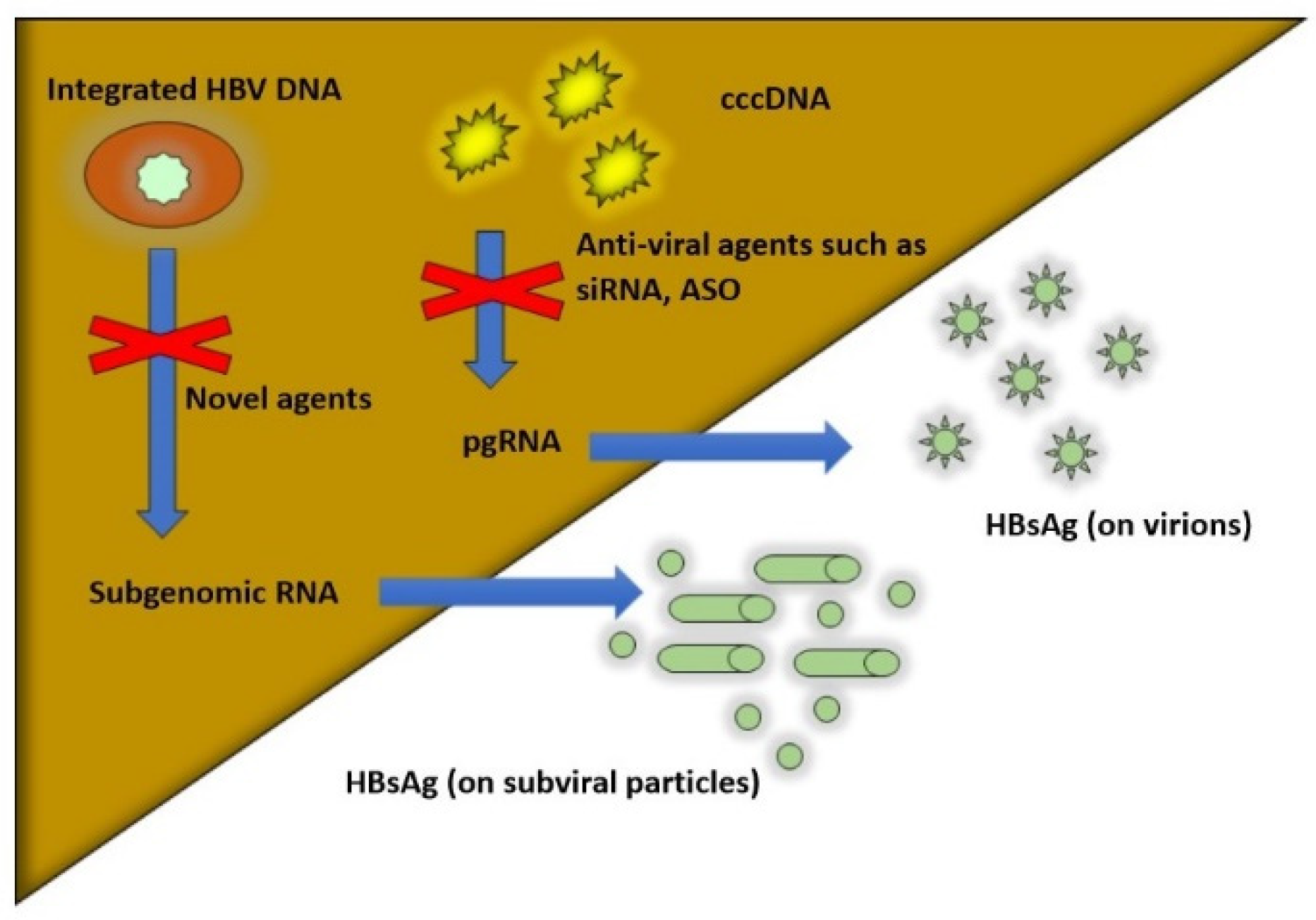 Viruses 14 00657 g001 Viruses 14 00657 g001
