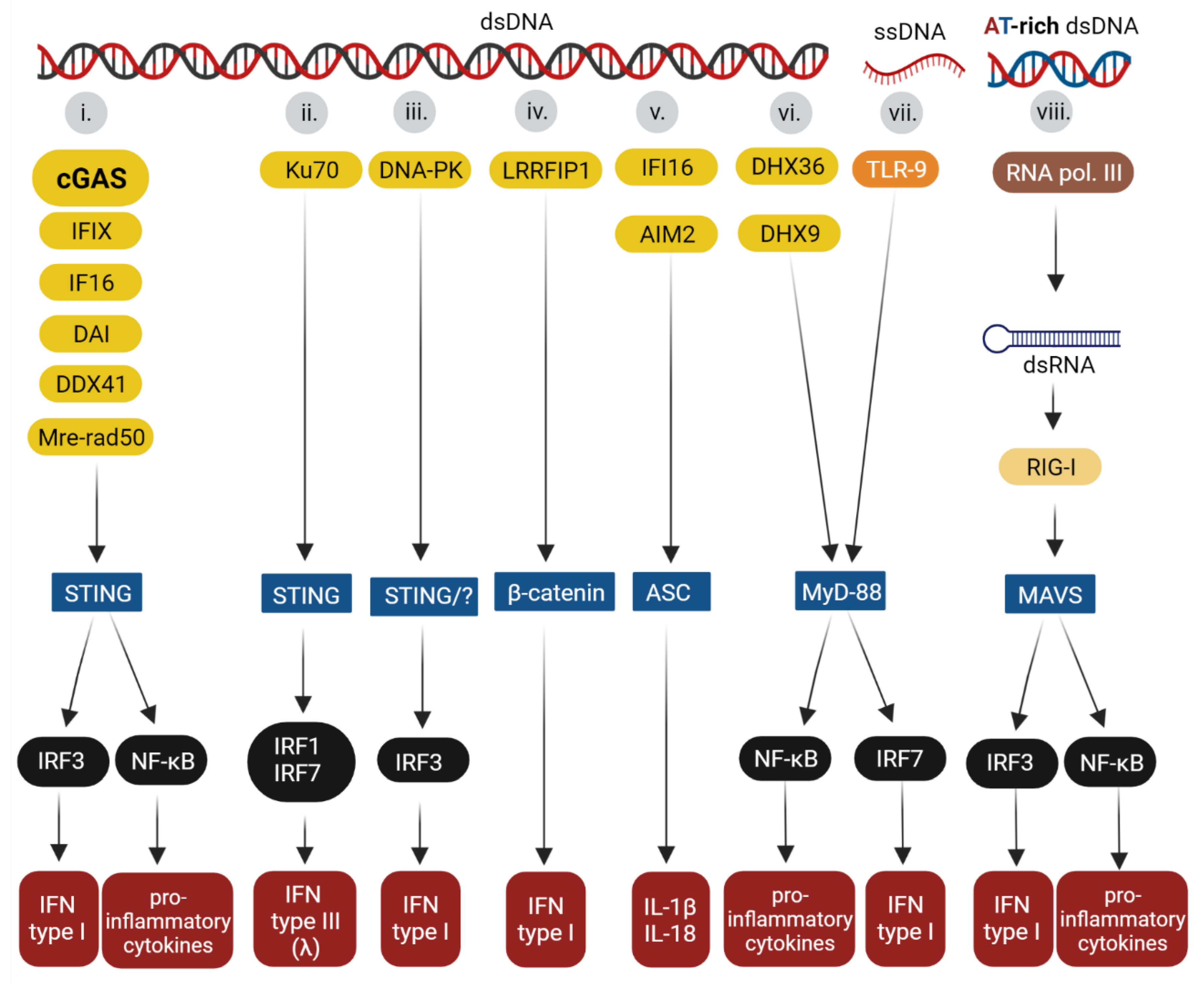 Viruses 14 00666 g001