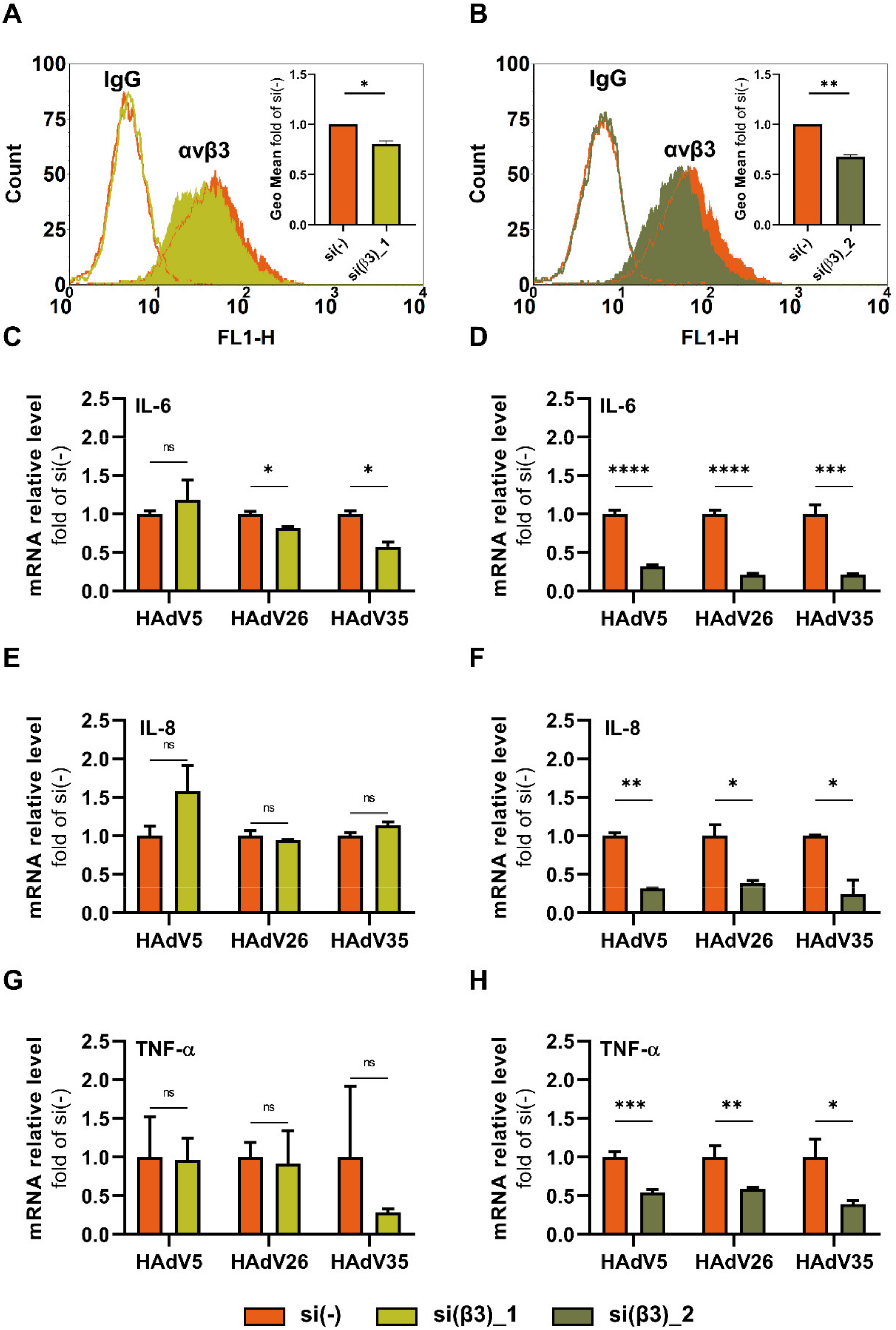 Viruses 14 00672 g004