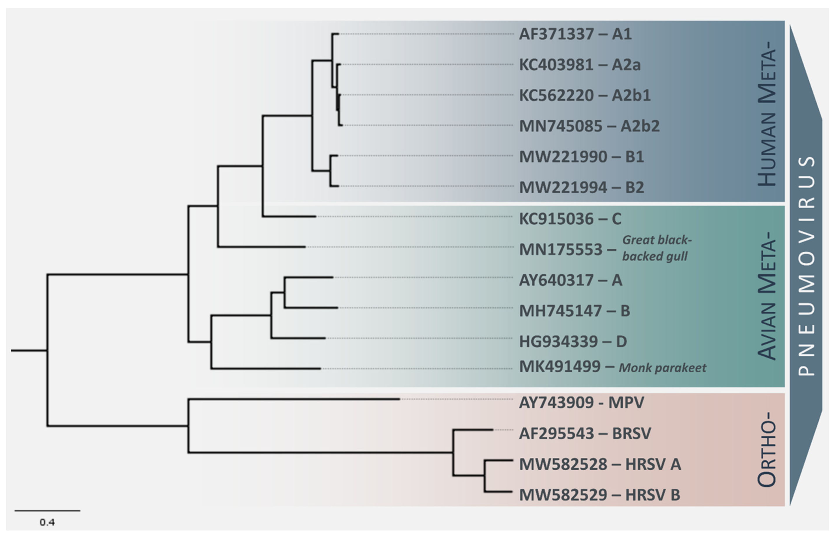 Viruses 14 00677 g001 Viruses 14 00677 g001