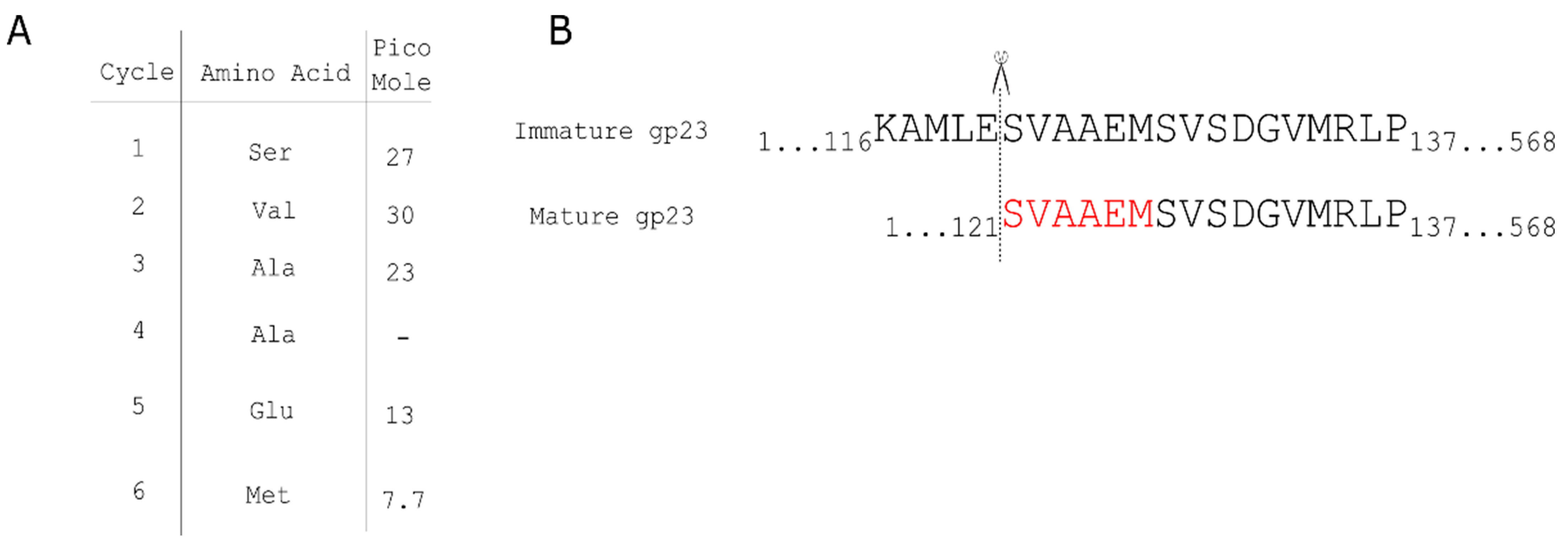 Viruses 14 00678 g001