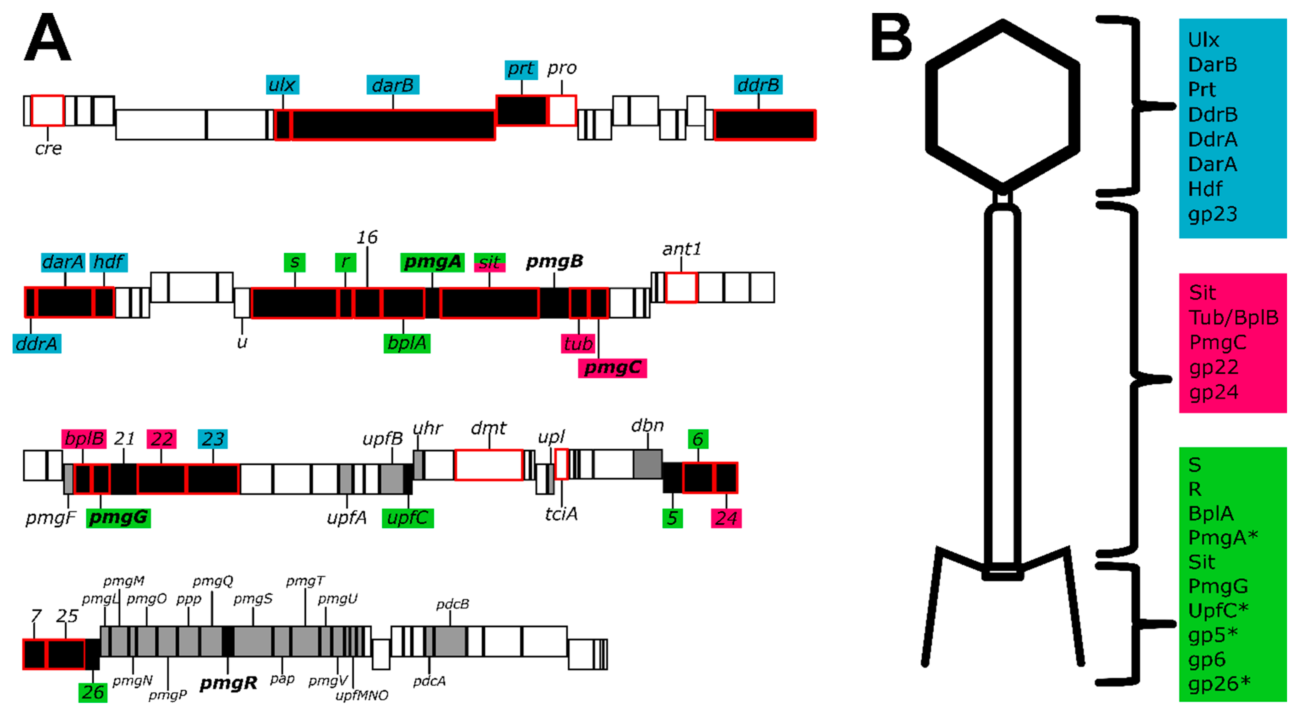 Viruses 14 00678 g005