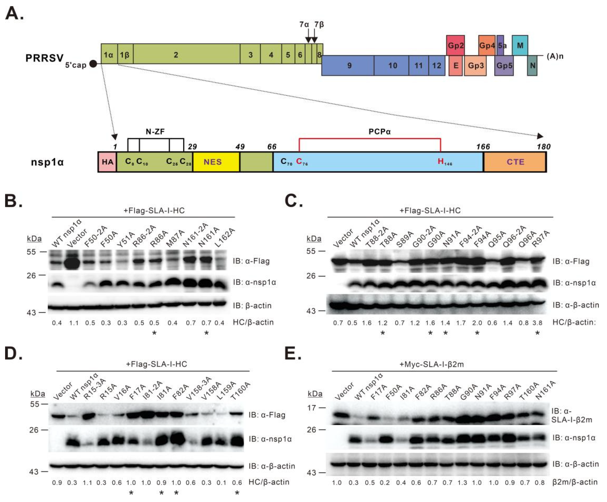 Viruses 14 00690 g001