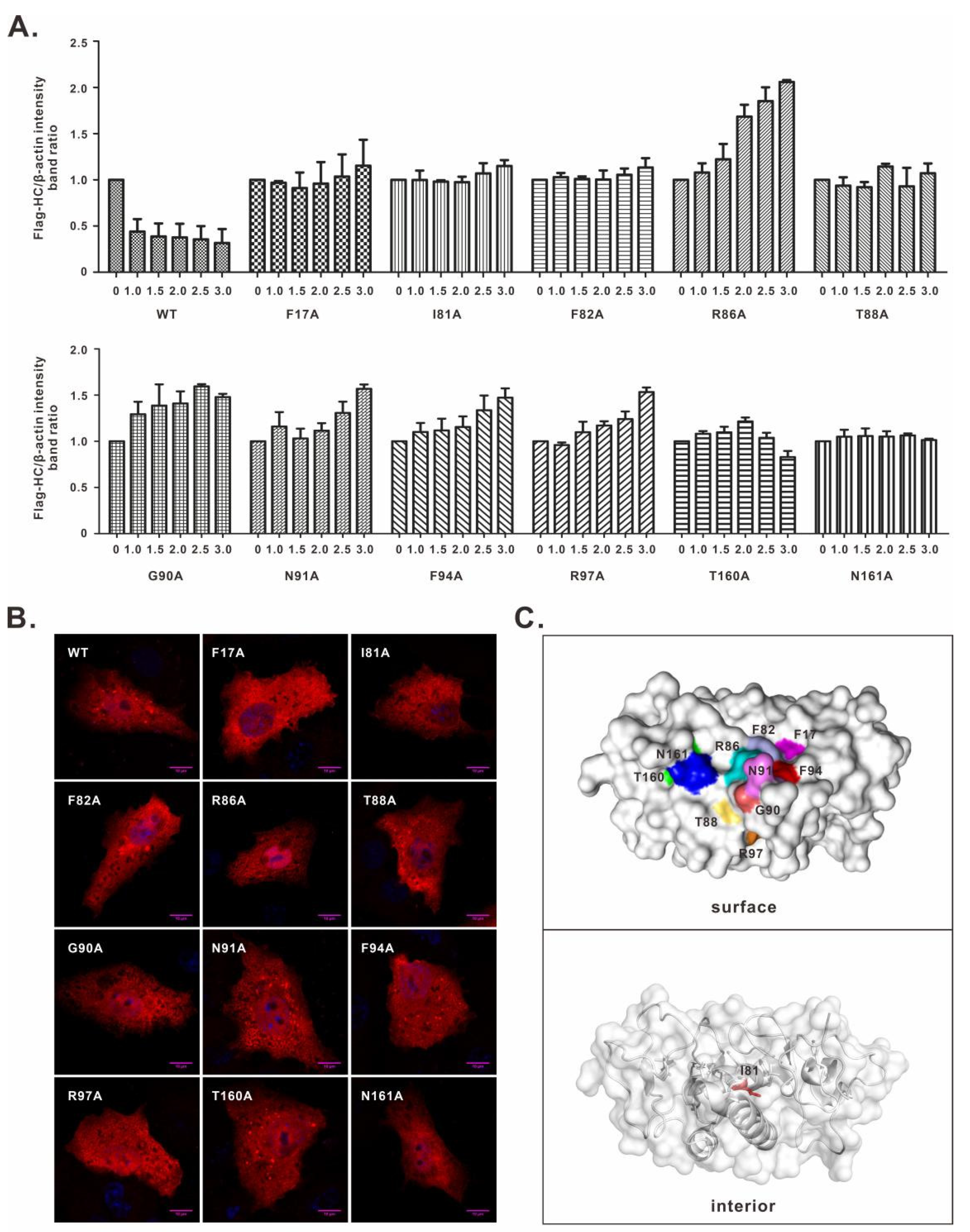 Viruses 14 00690 g002