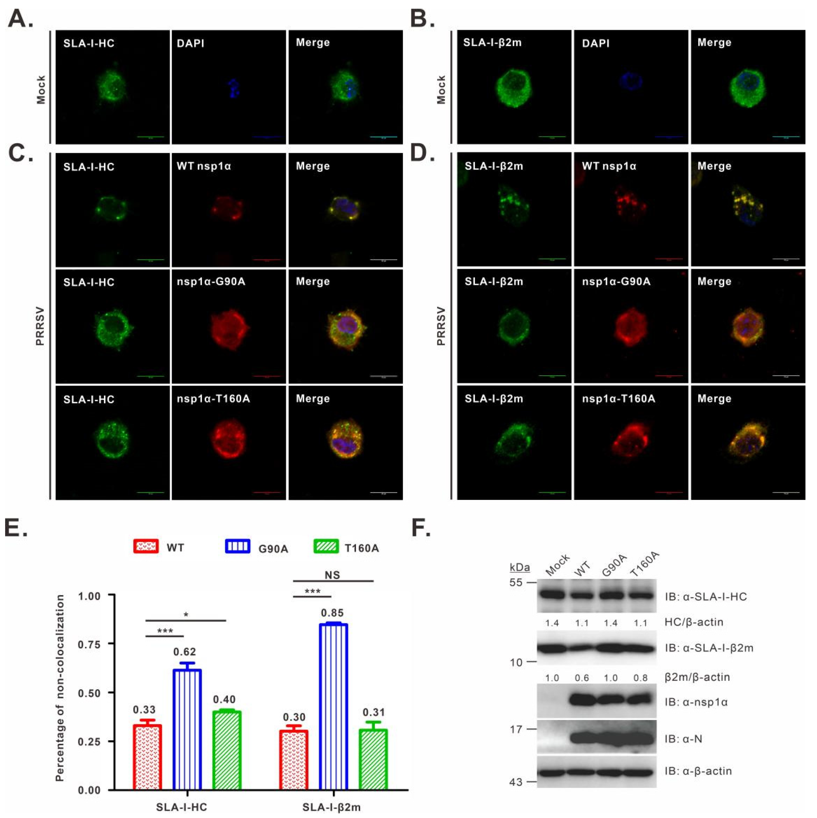 Viruses 14 00690 g004