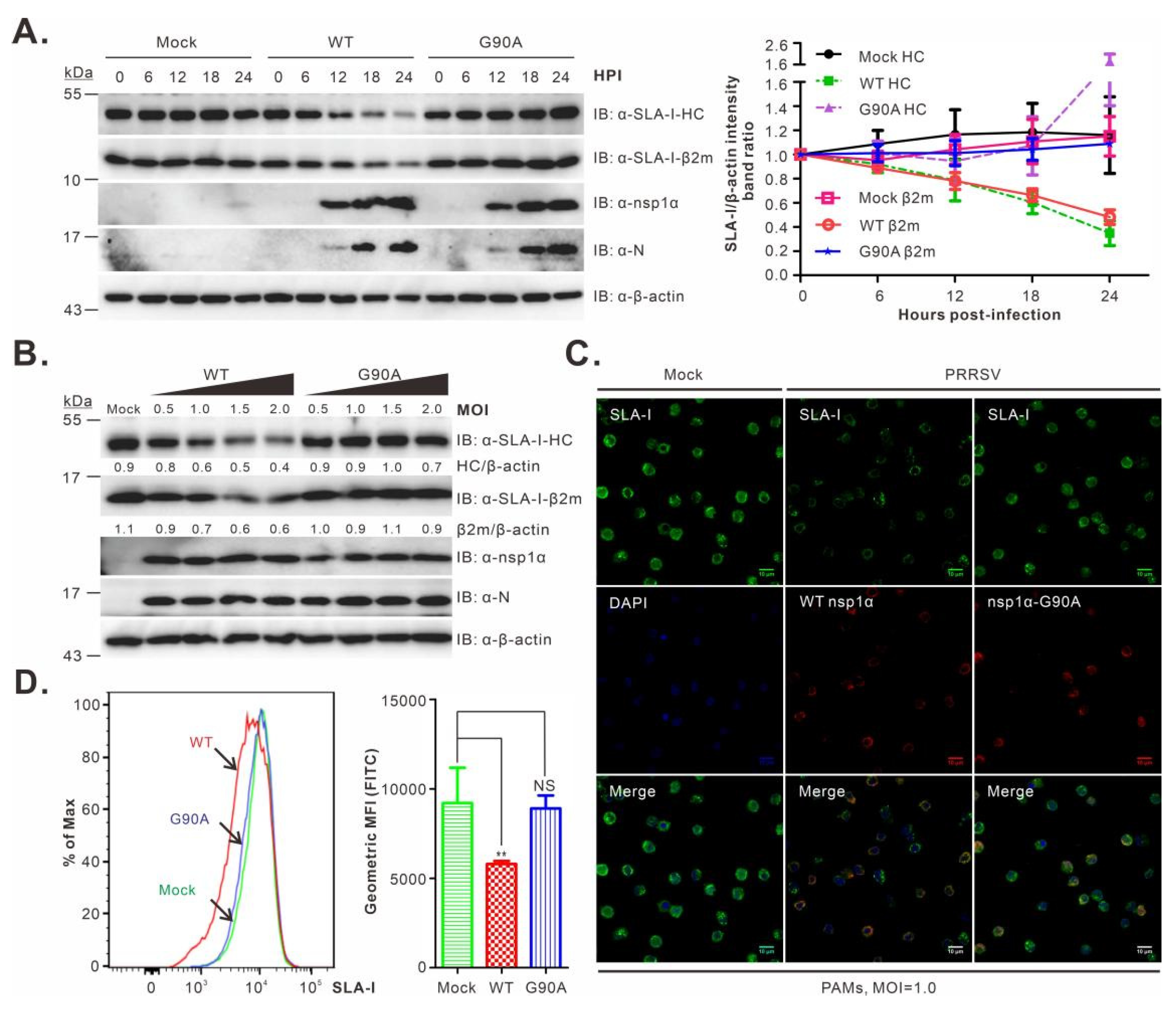 Viruses 14 00690 g005