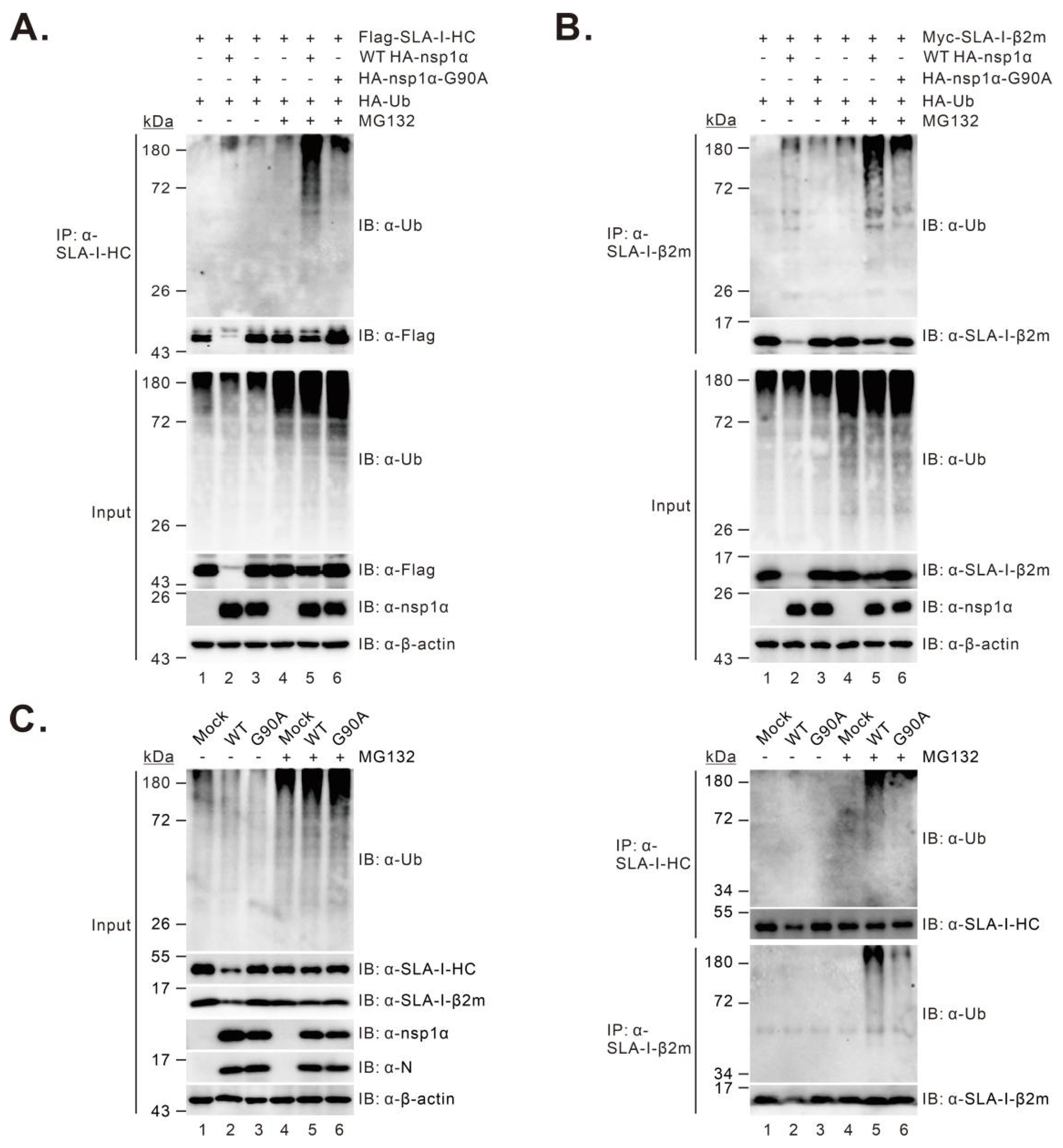 Viruses 14 00690 g006