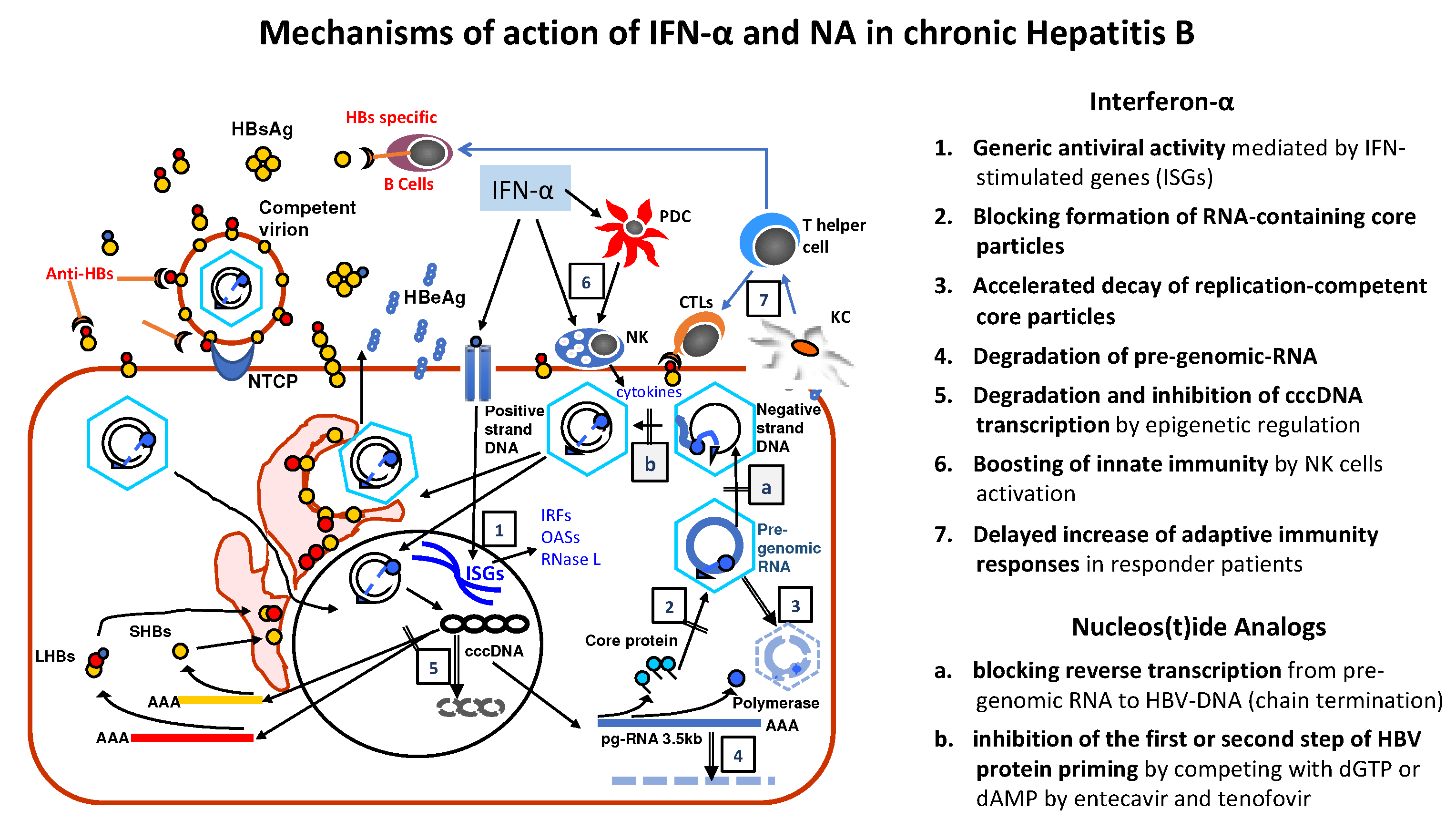 Viruses 14 00701 g002