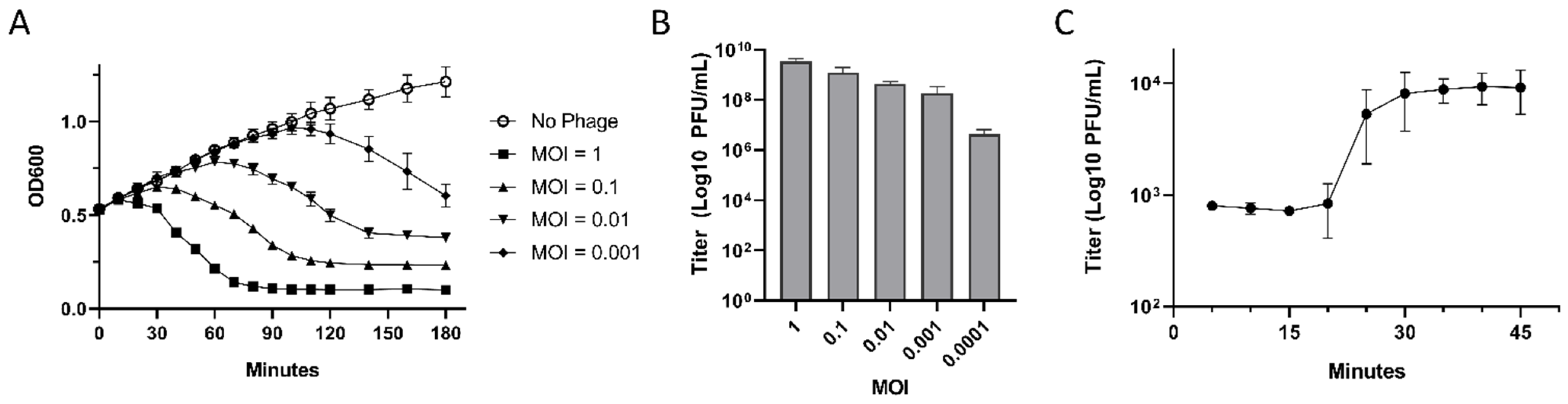 Viruses 14 00708 g002