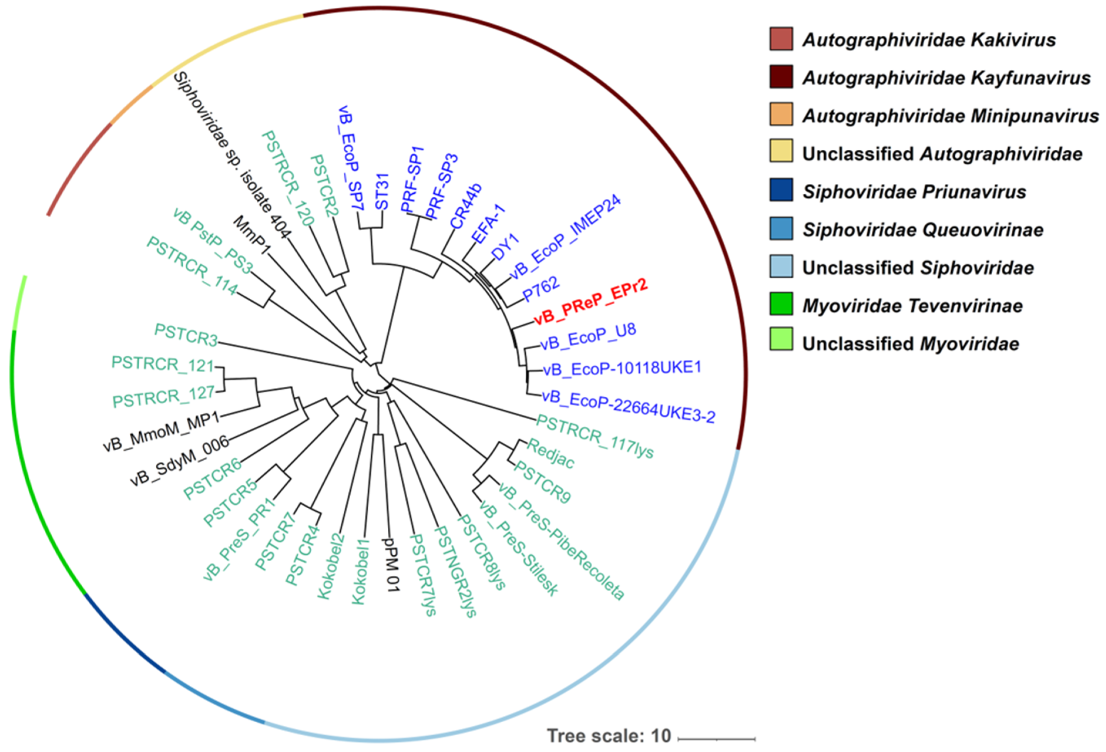 Viruses 14 00708 g003