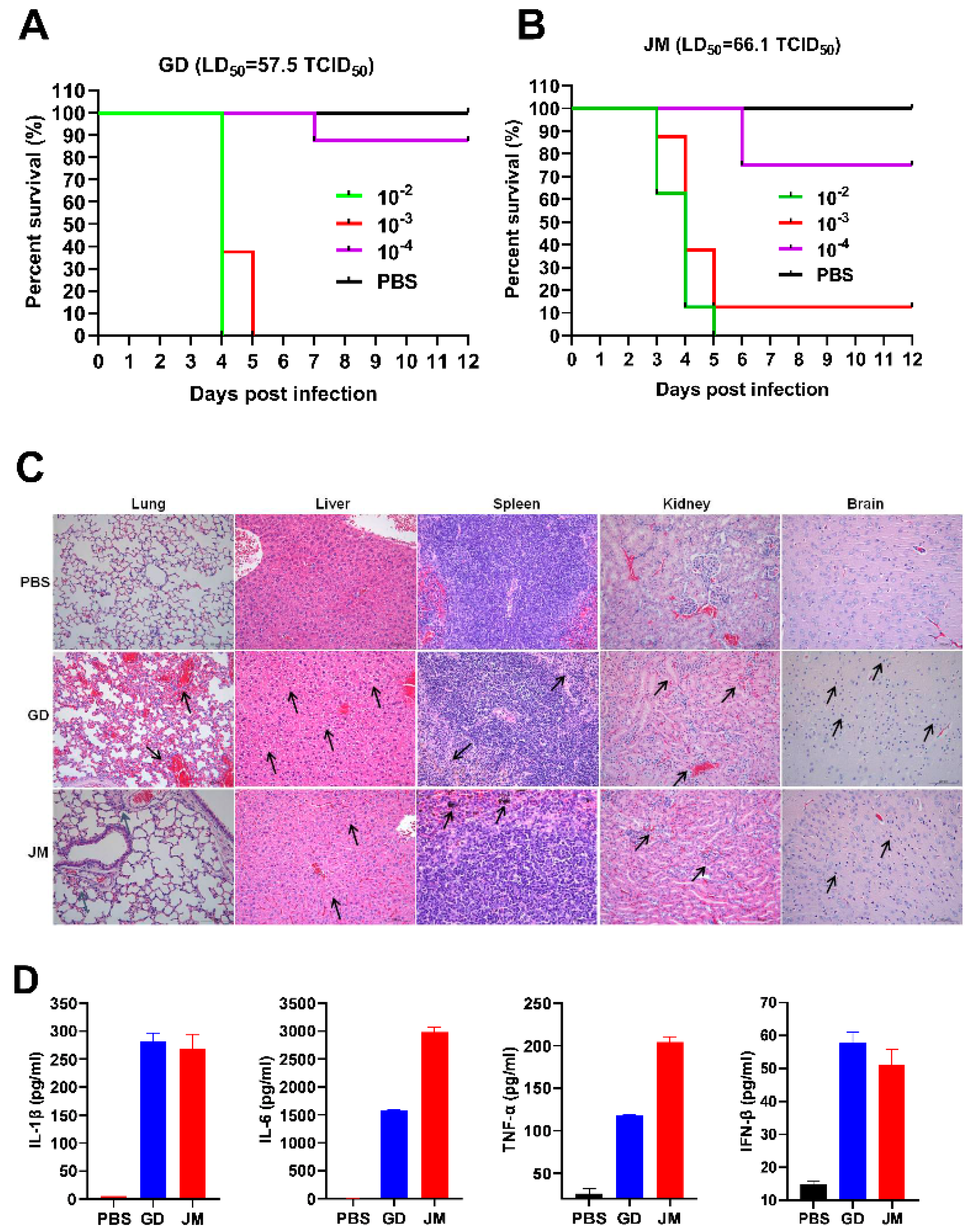 Viruses 14 00712 g005