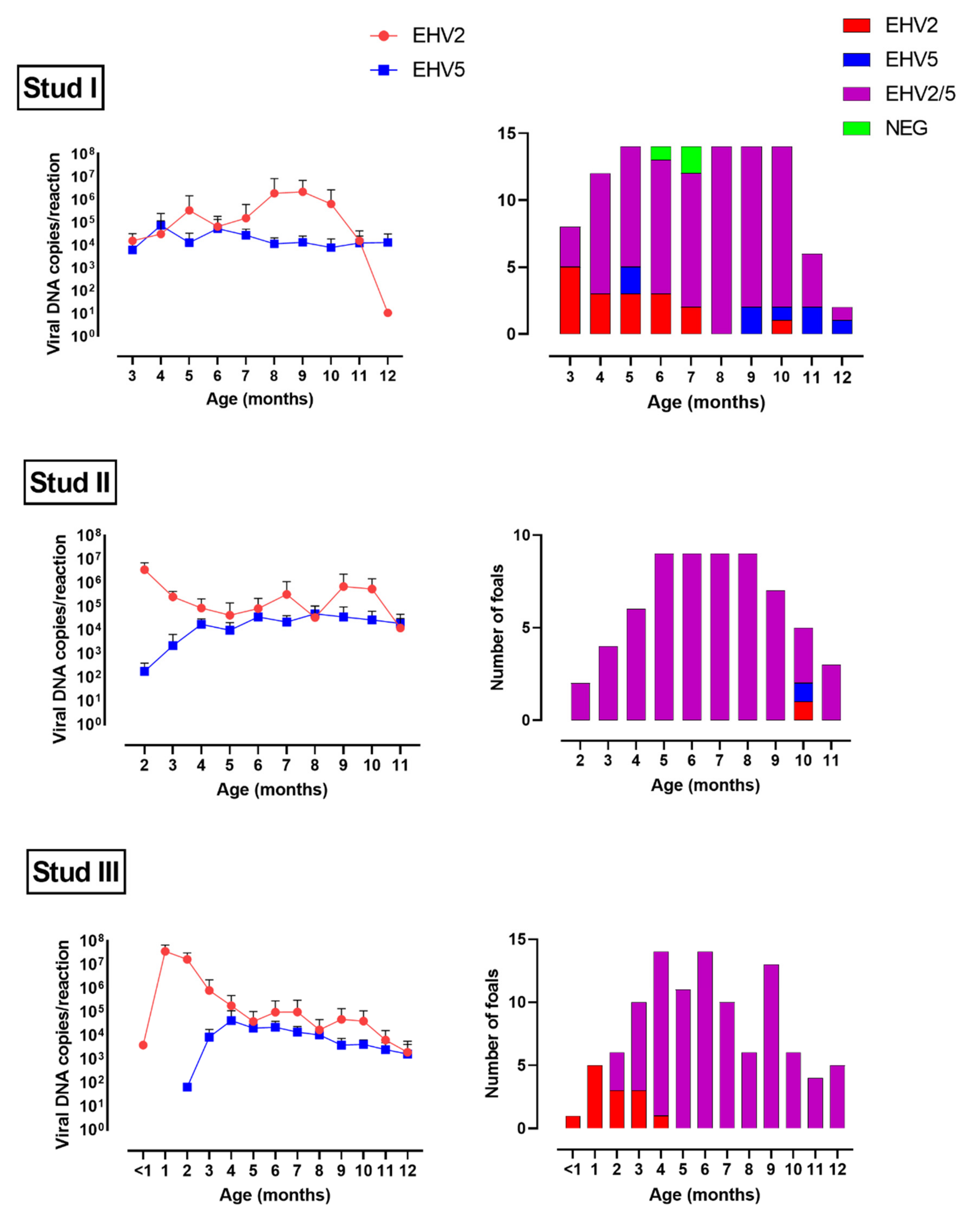 Viruses 14 00713 g003 Viruses 14 00713 g003
