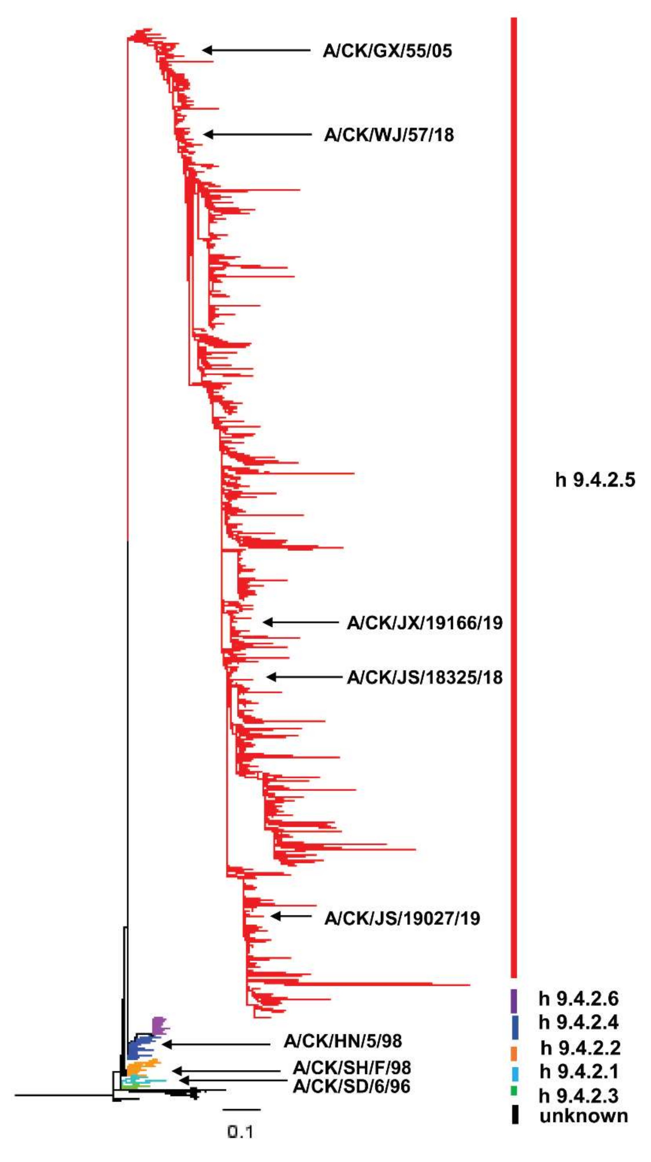 Viruses 14 00726 g001