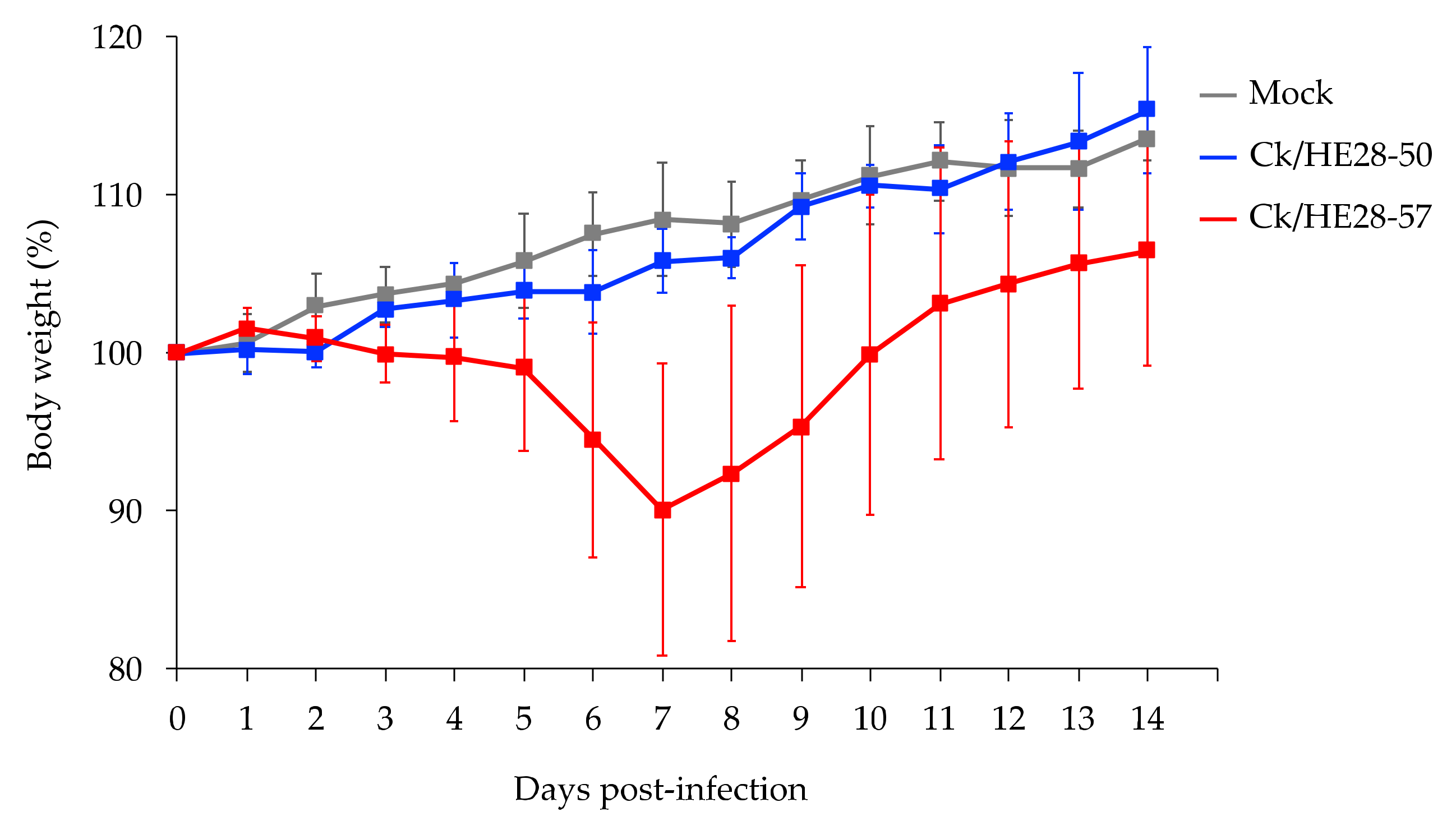Viruses 14 00728 g003